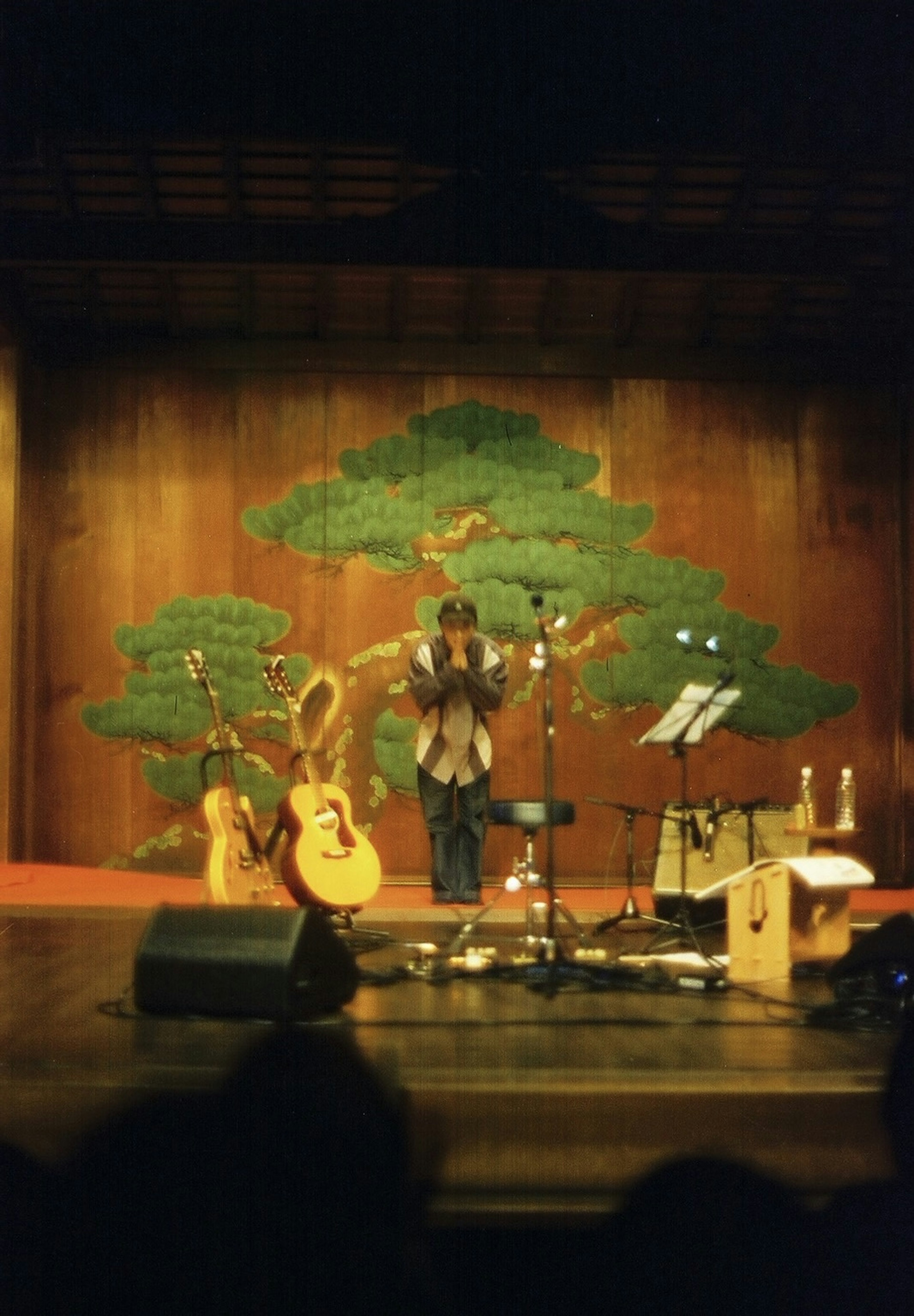 Musicien sur scène avec un fond de peinture d'arbre de pin