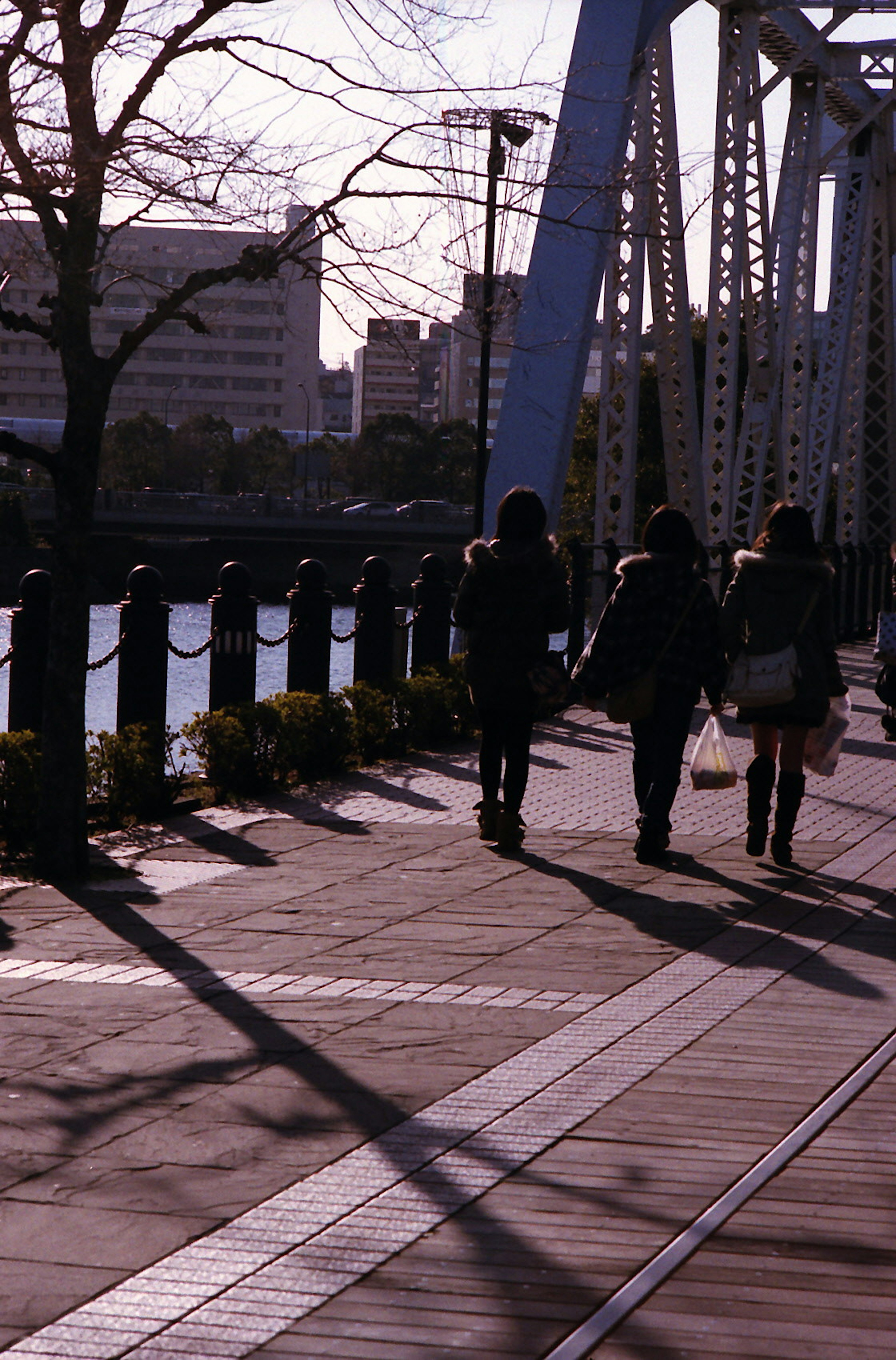 Two women walking near a bridge with a shadowy landscape