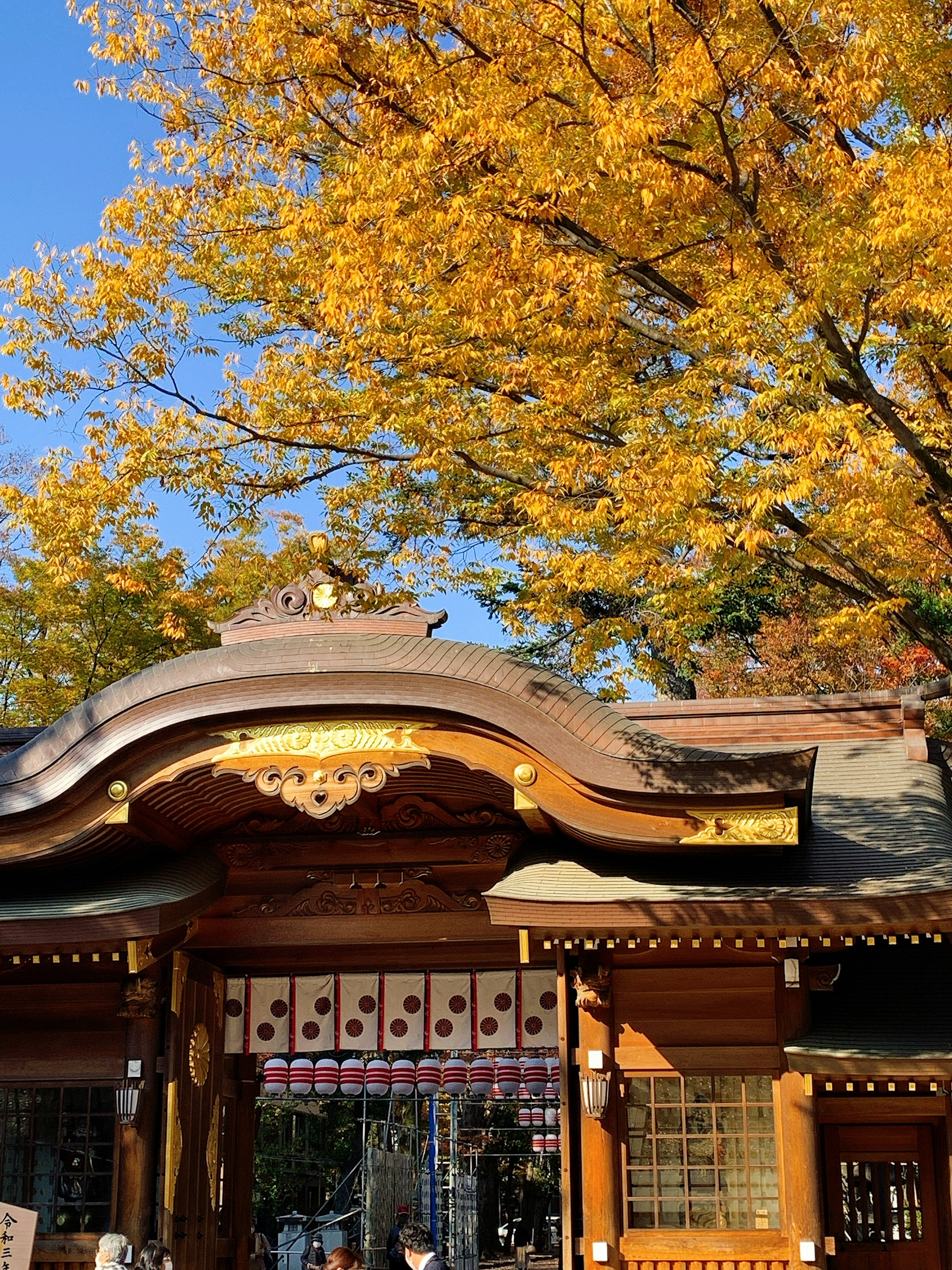 Traditionelles japanisches Schrein Tor umgeben von herbstlichen gelben Blättern