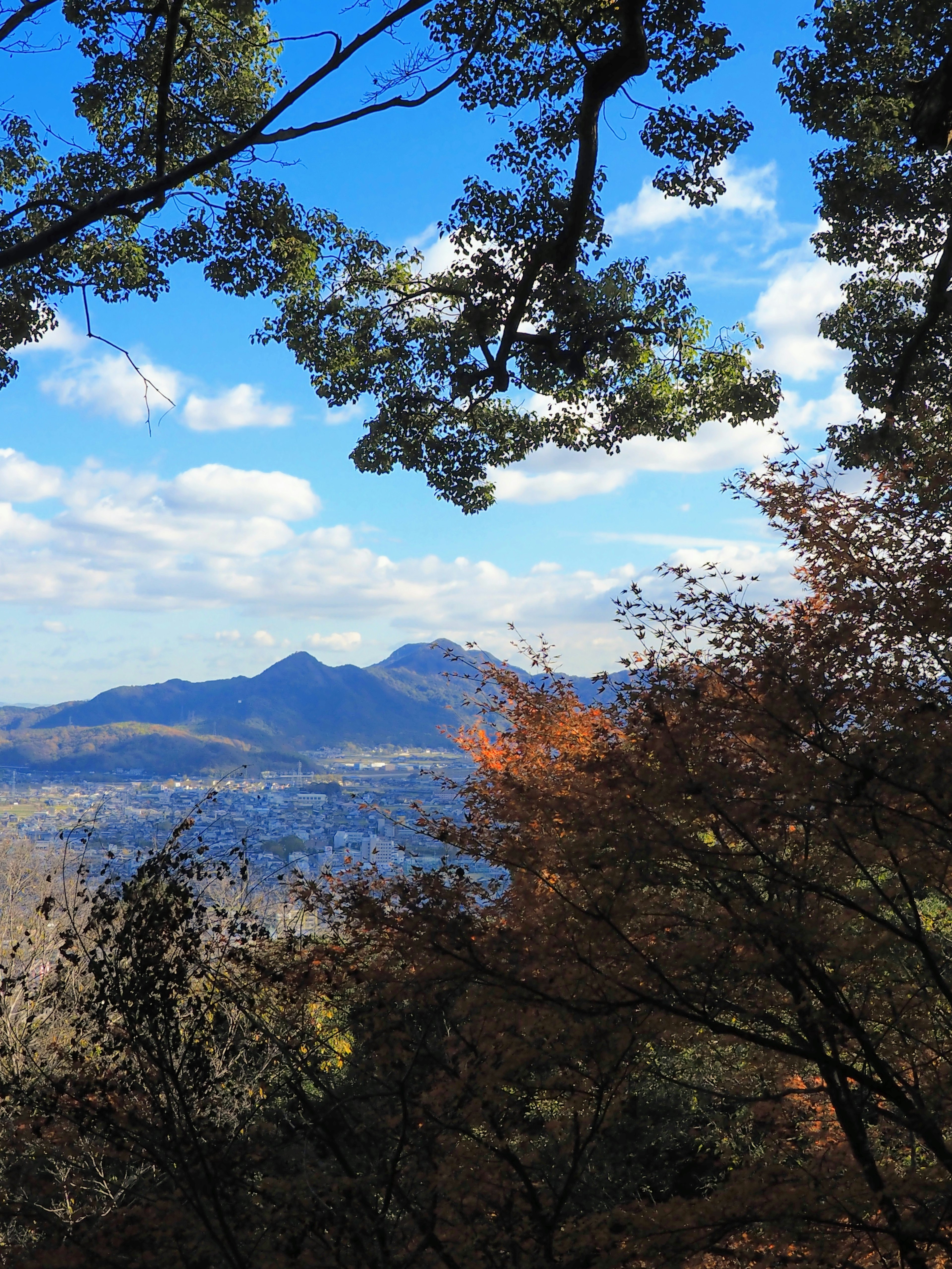 Panorama der Berge umgeben von blauem Himmel und Wolken mit Herbstlaub