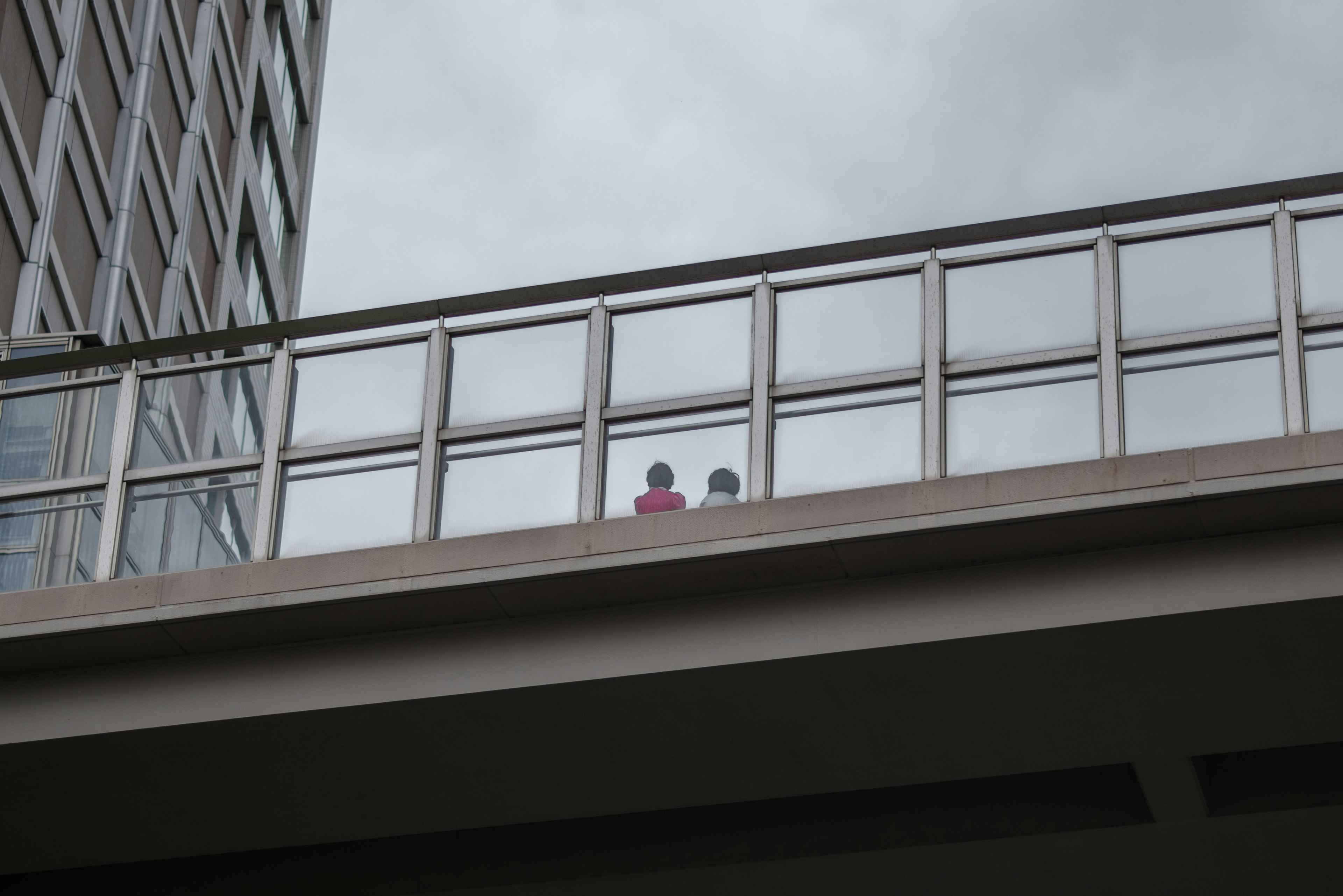 Two people looking down from a glass-railed bridge on a building