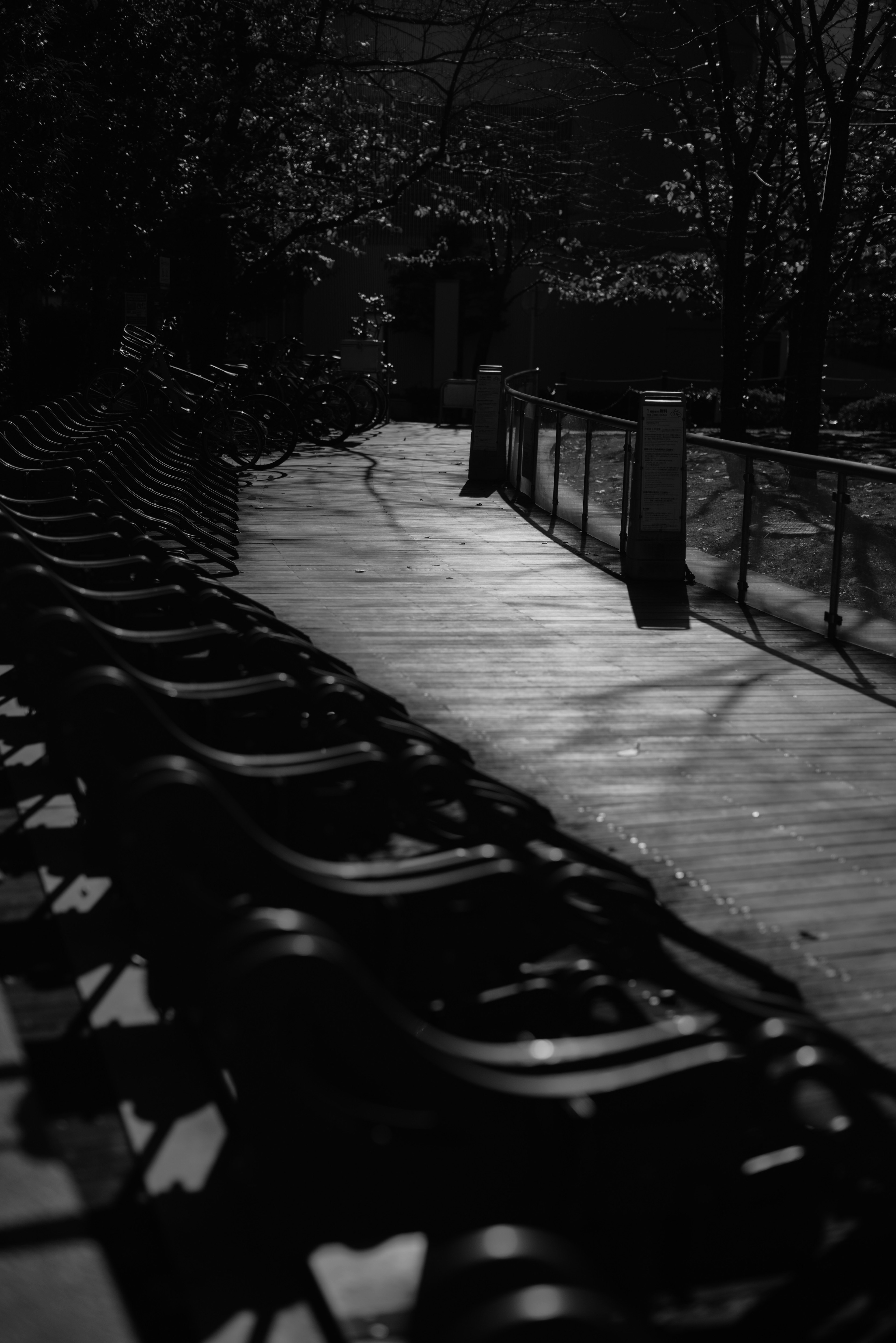 Chairs lined up along a wooden path in a dark setting