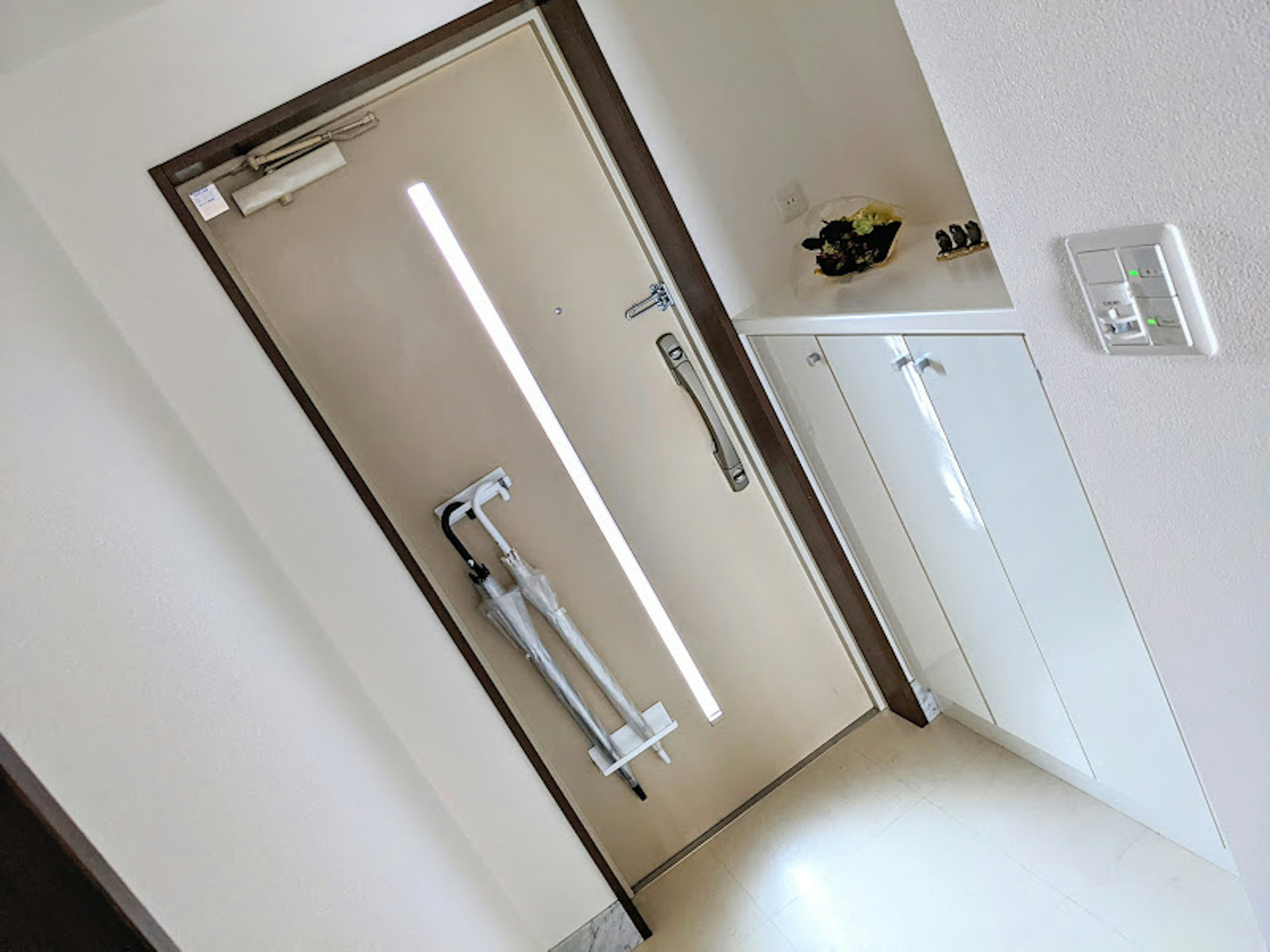 Modern design door with adjacent storage area