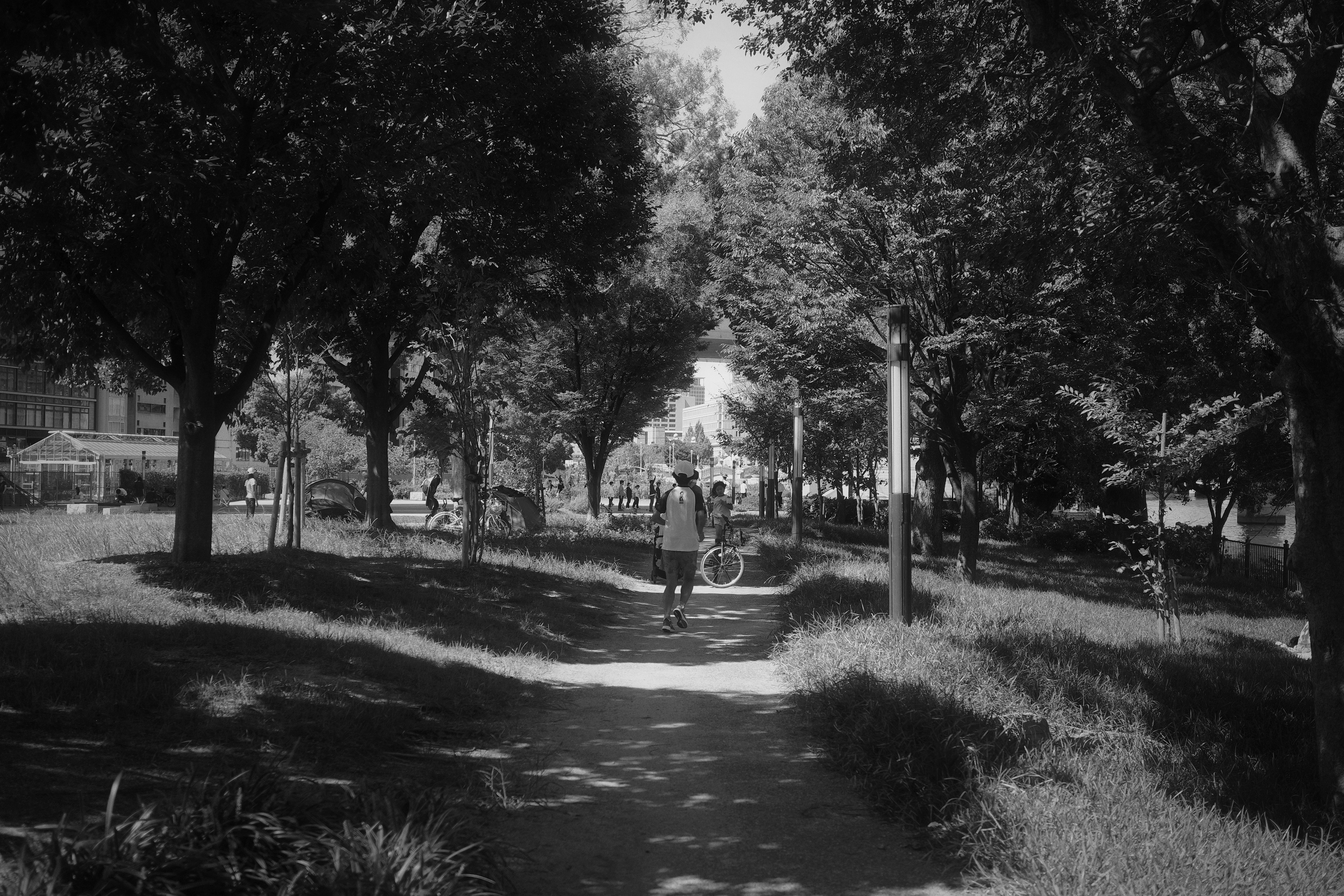 A person walking along a path in a park surrounded by trees