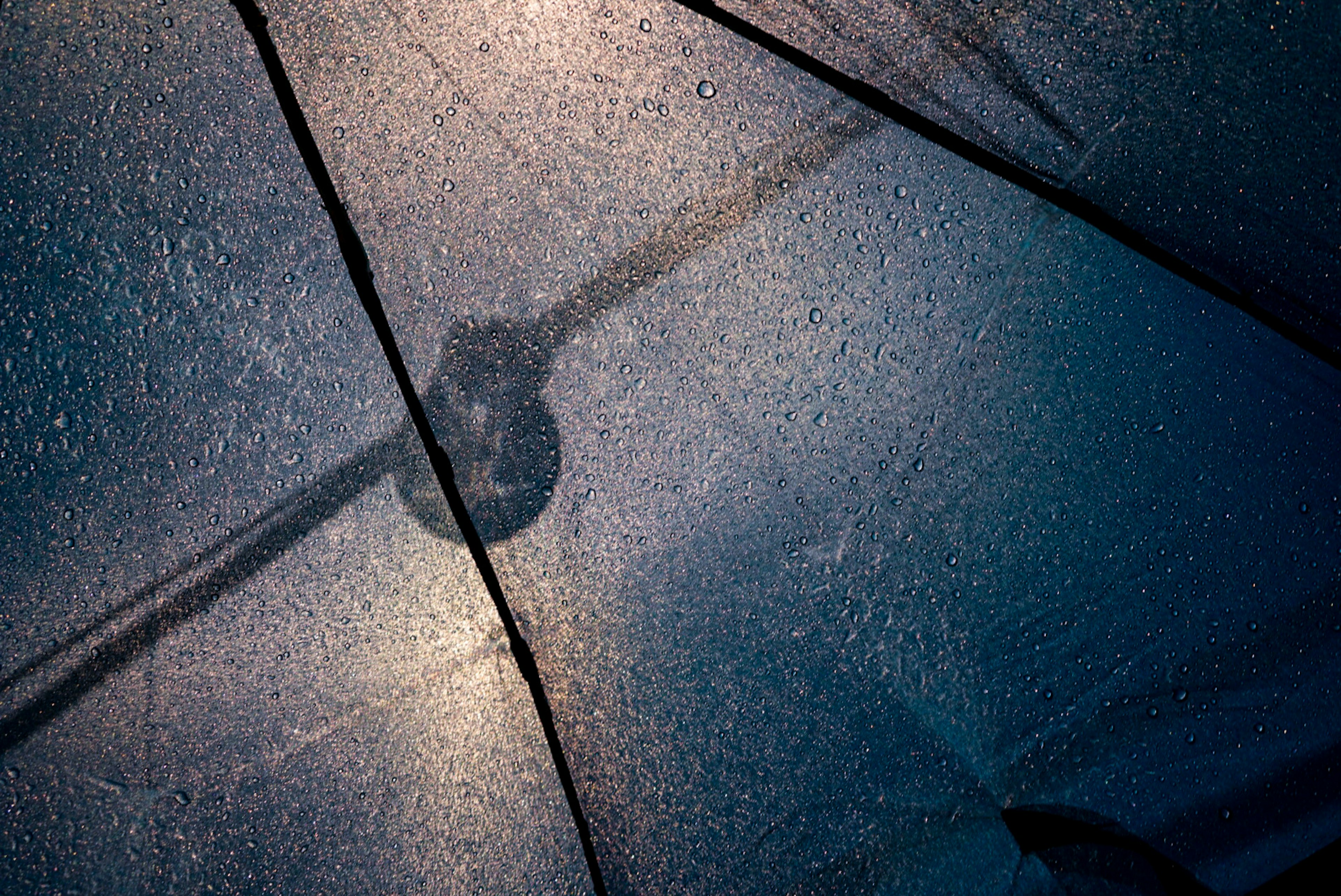 Reflection of light and raindrops on the surface of a wet umbrella