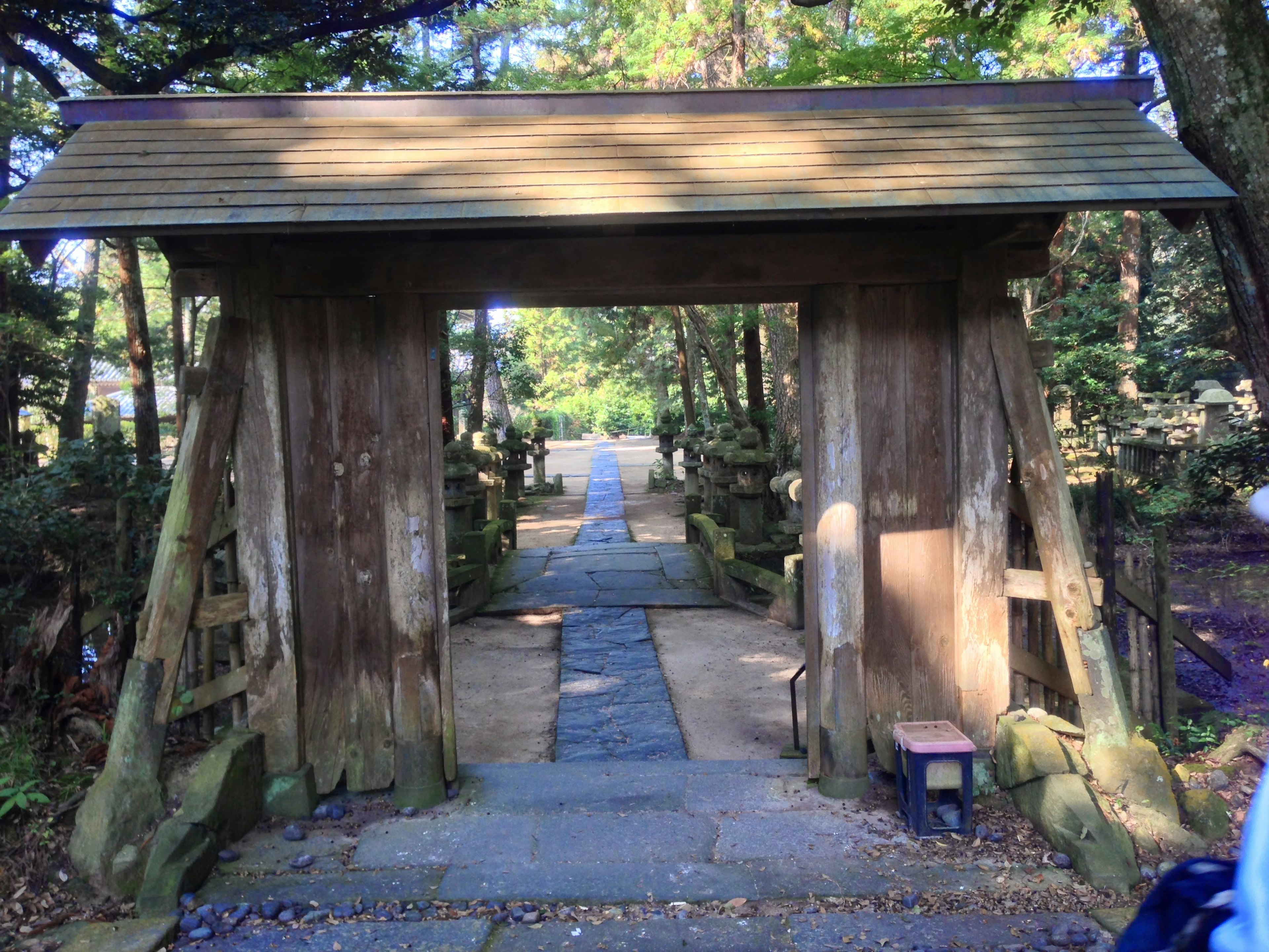 Wooden gate leading to a stone path surrounded by greenery