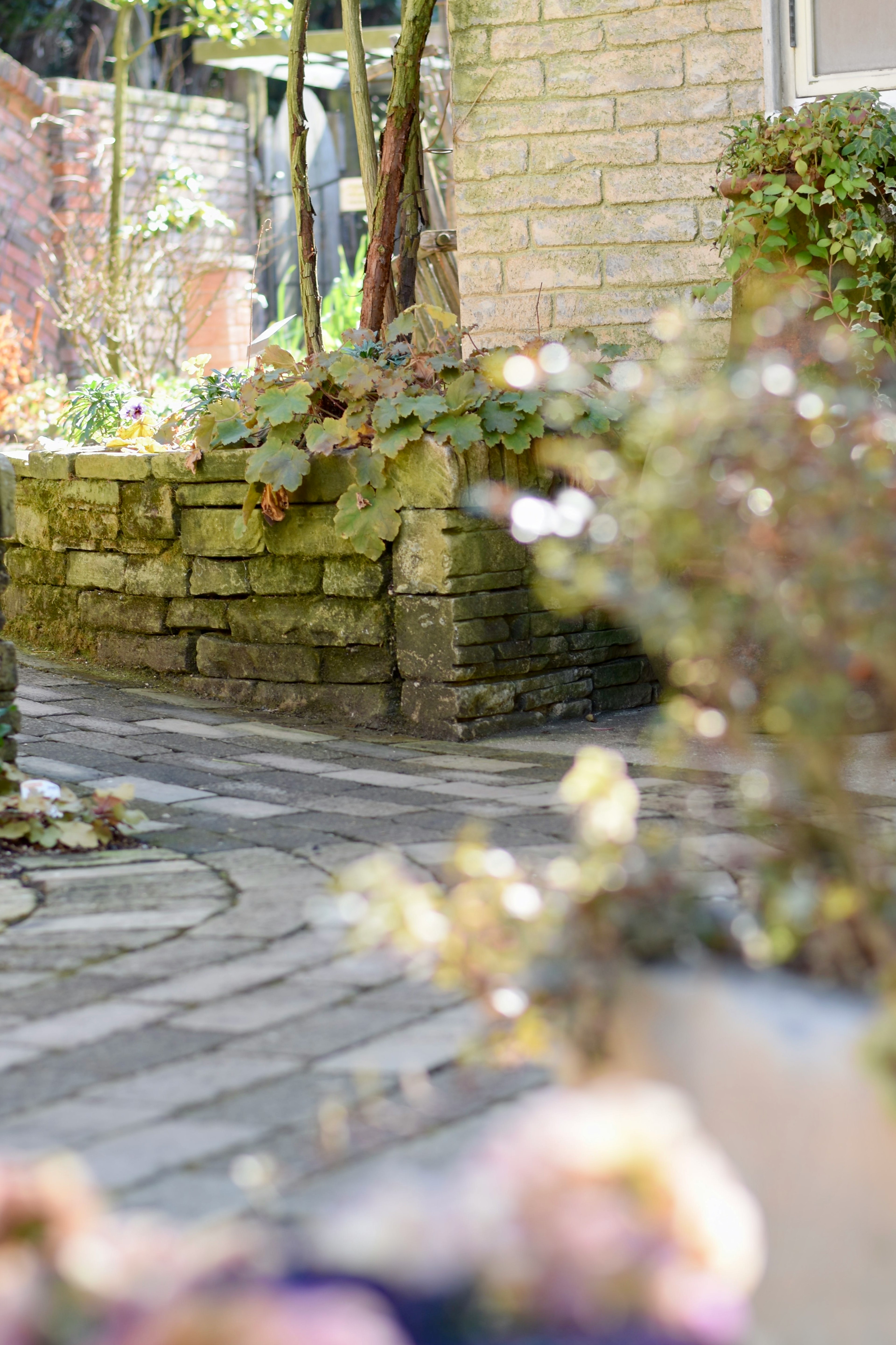 Un charmant chemin en pierre bordé de verdure dans un jardin