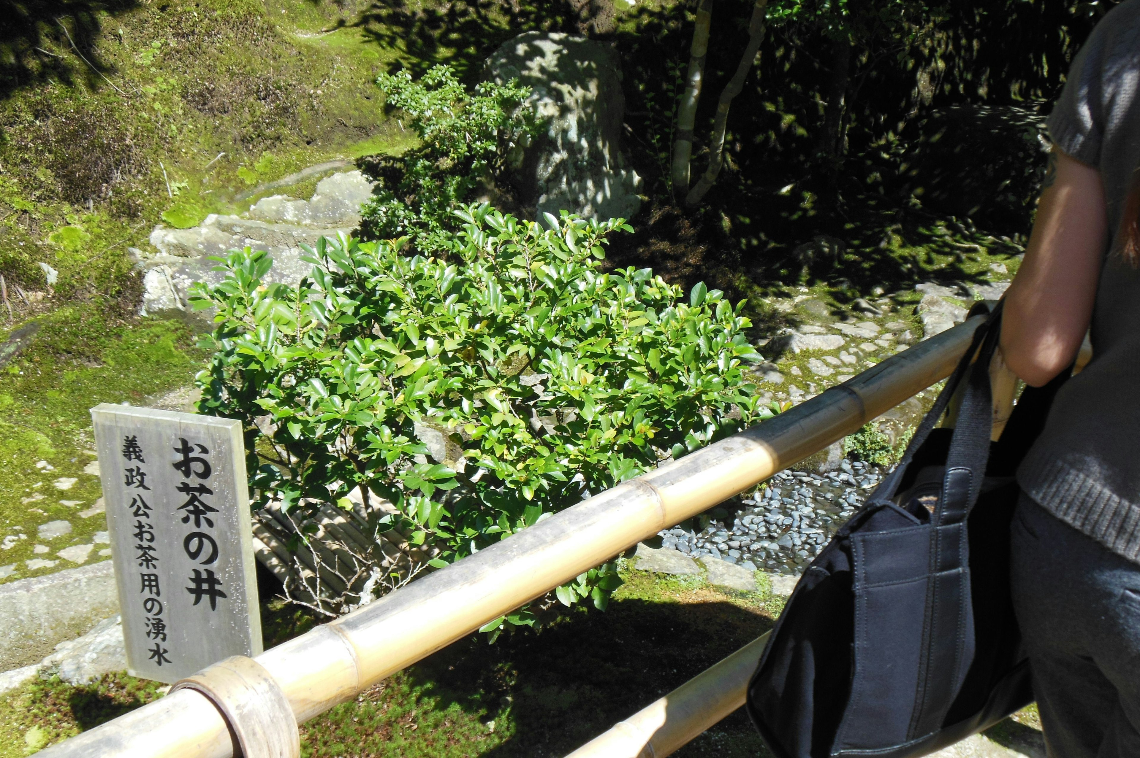 竹の手すりの近くにある緑の植物と標識のある穏やかな庭の景色