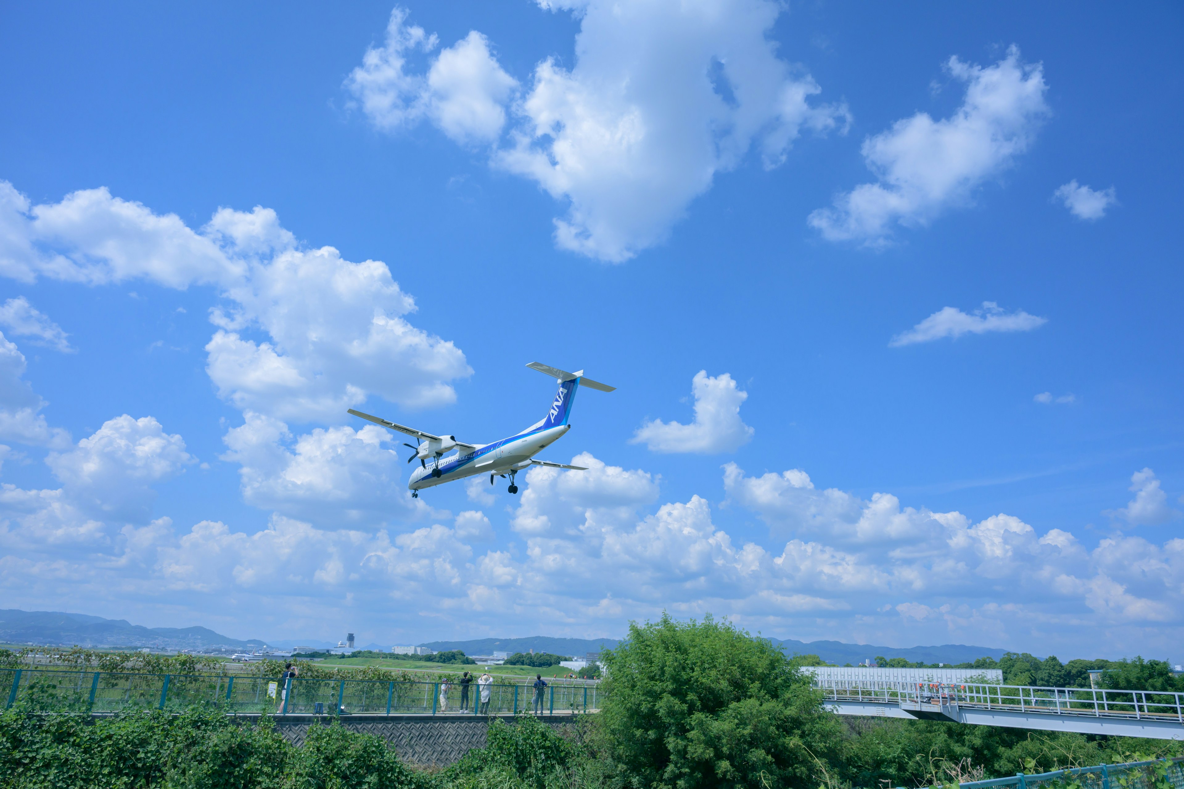 青空の下で飛行機が着陸する様子に緑の木々と橋が見える