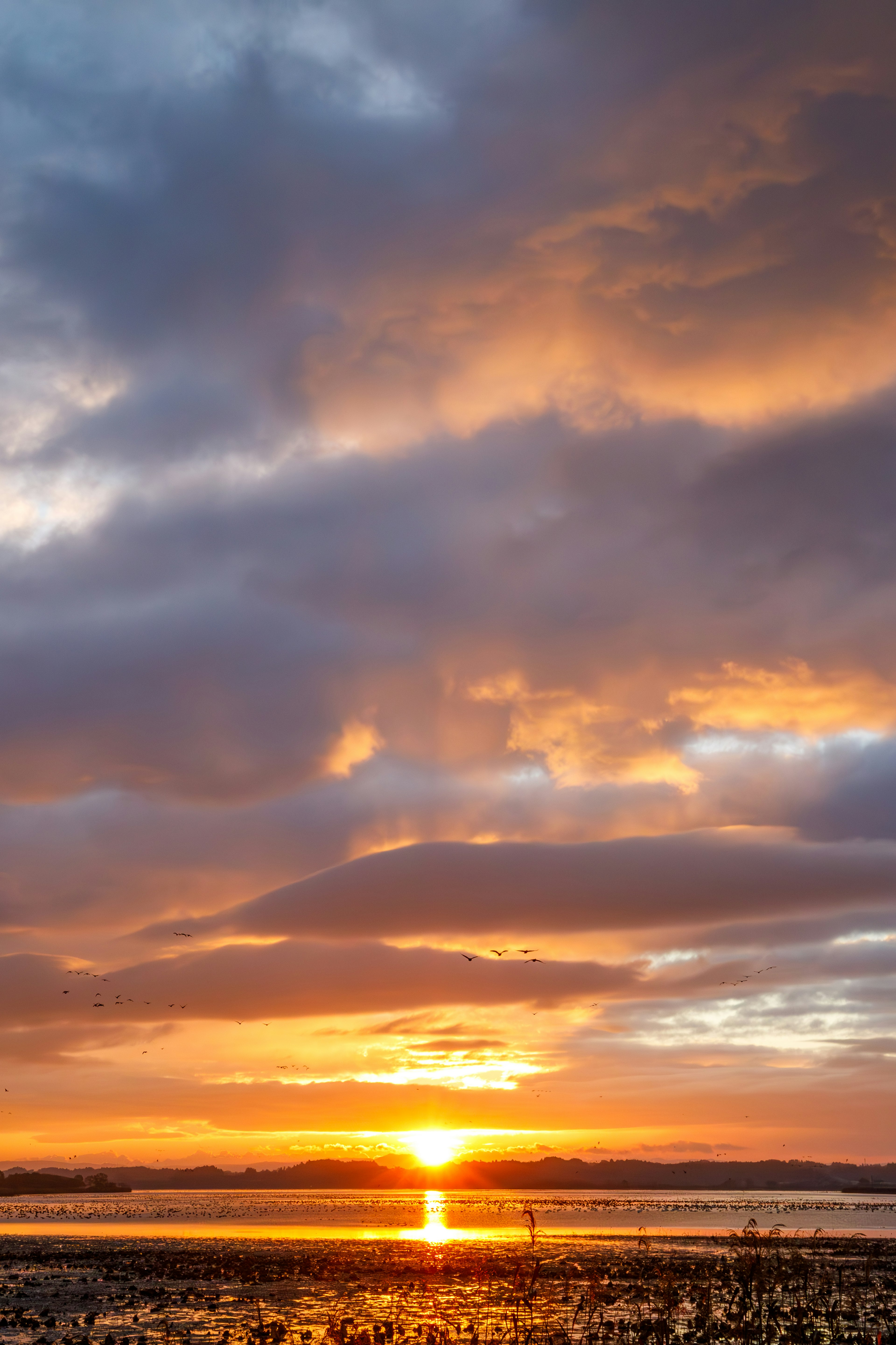 Eine schöne Sonnenuntergangslandschaft über einem See