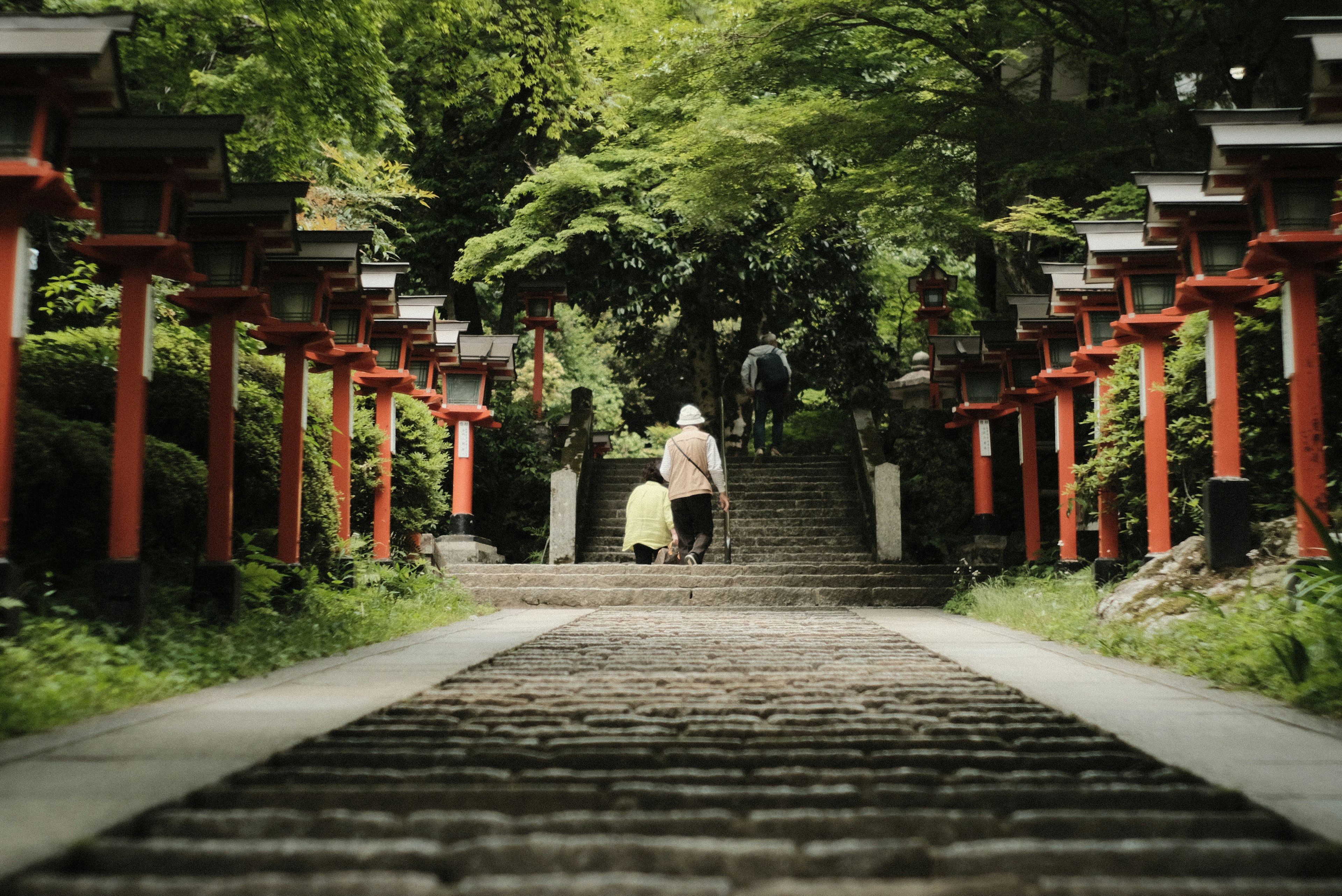 Malersicher Blick auf Steinmauern gesäumt von roten Torii und üppigem Grün