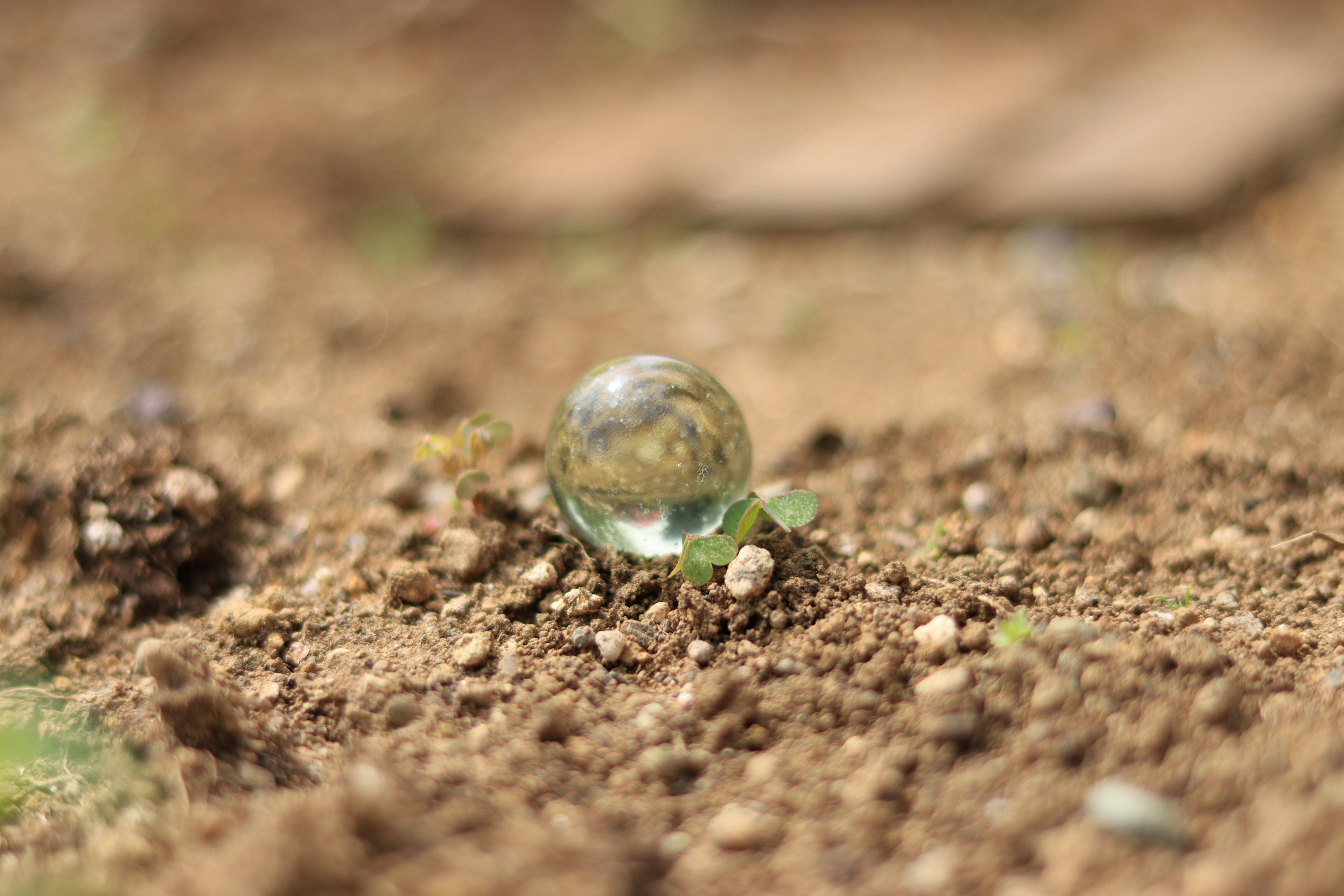 Close-up image of a transparent marble on the ground