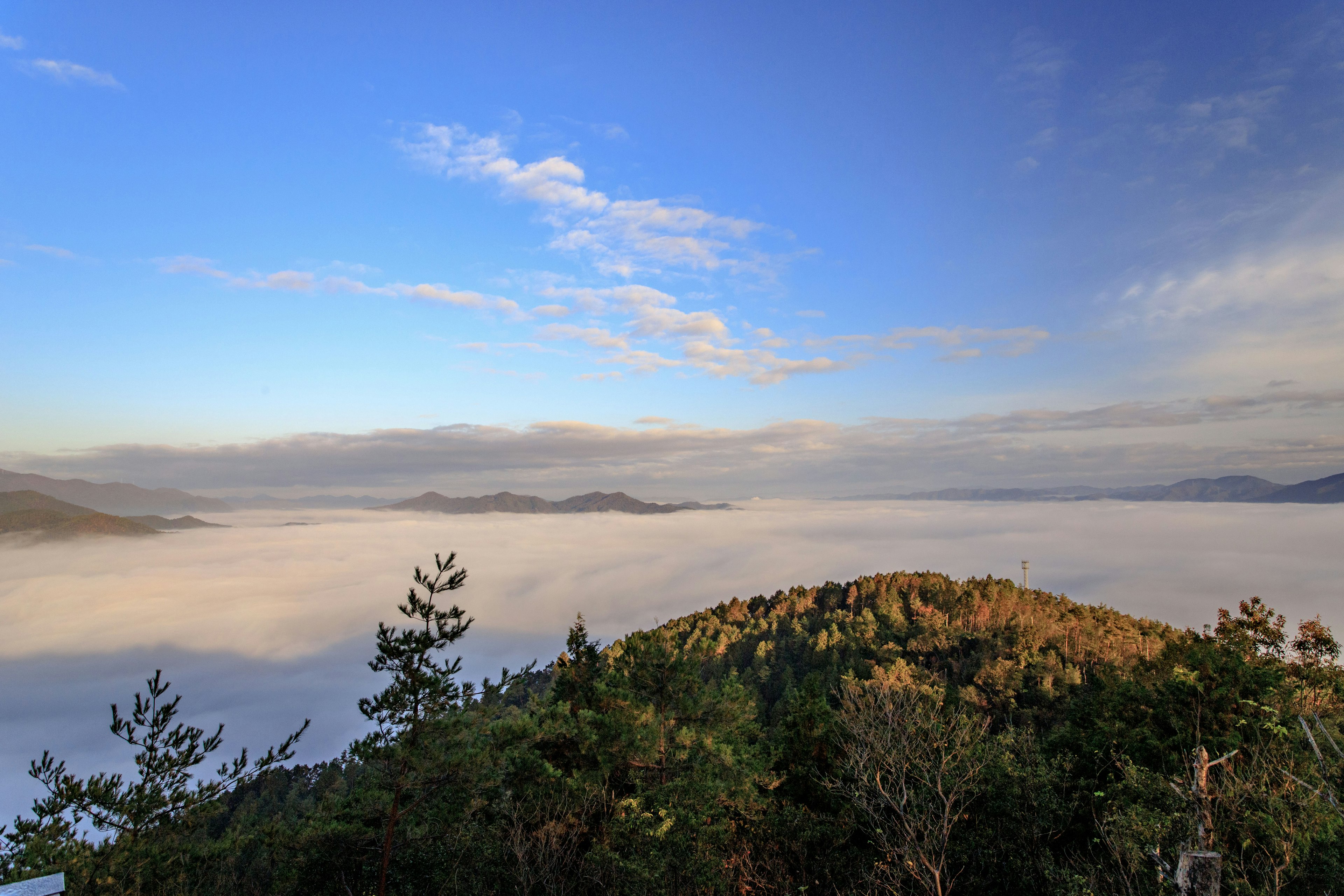 Paesaggio montano avvolto nella nebbia con cielo blu