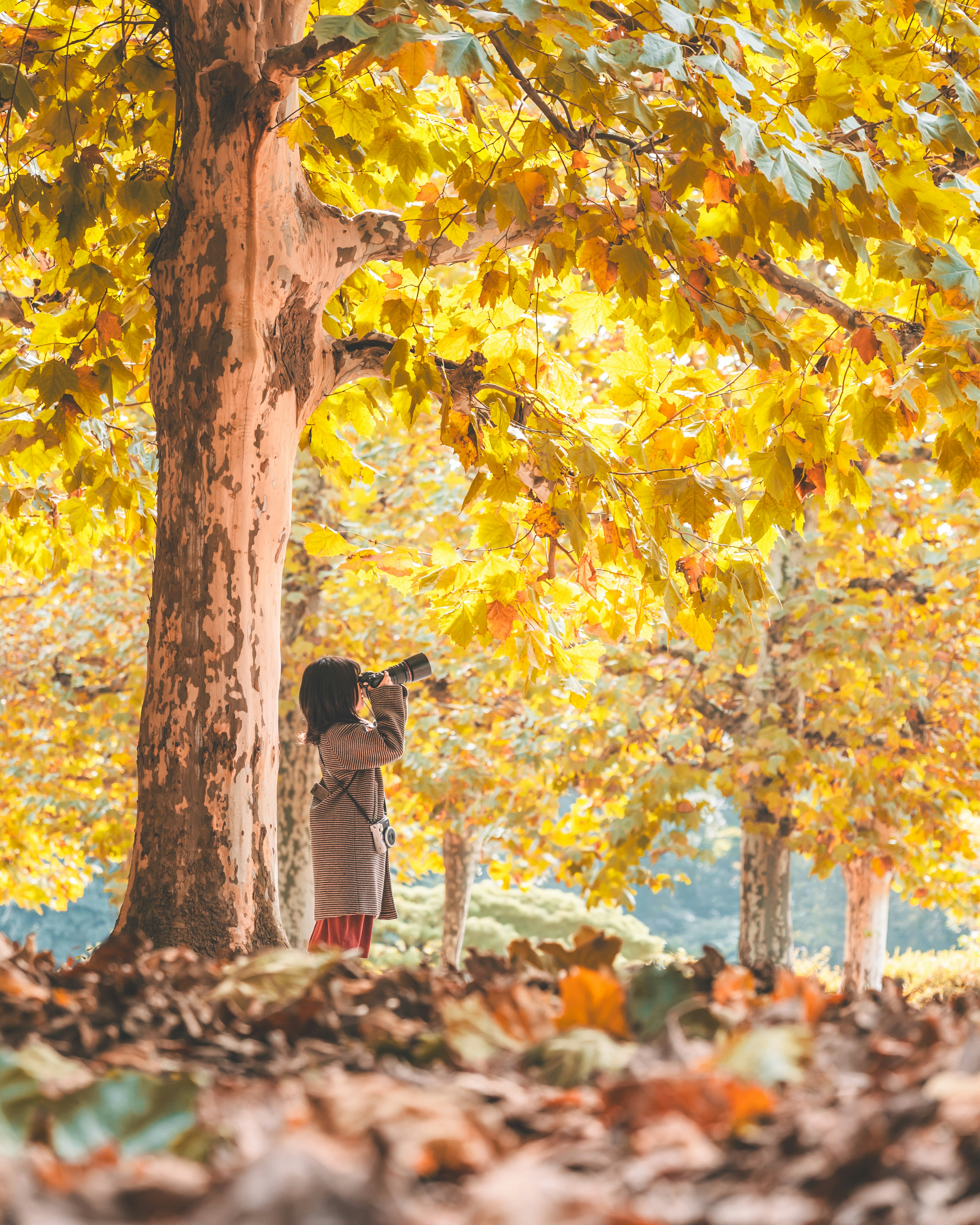 Donna che fotografa in un parco dai colori autunnali