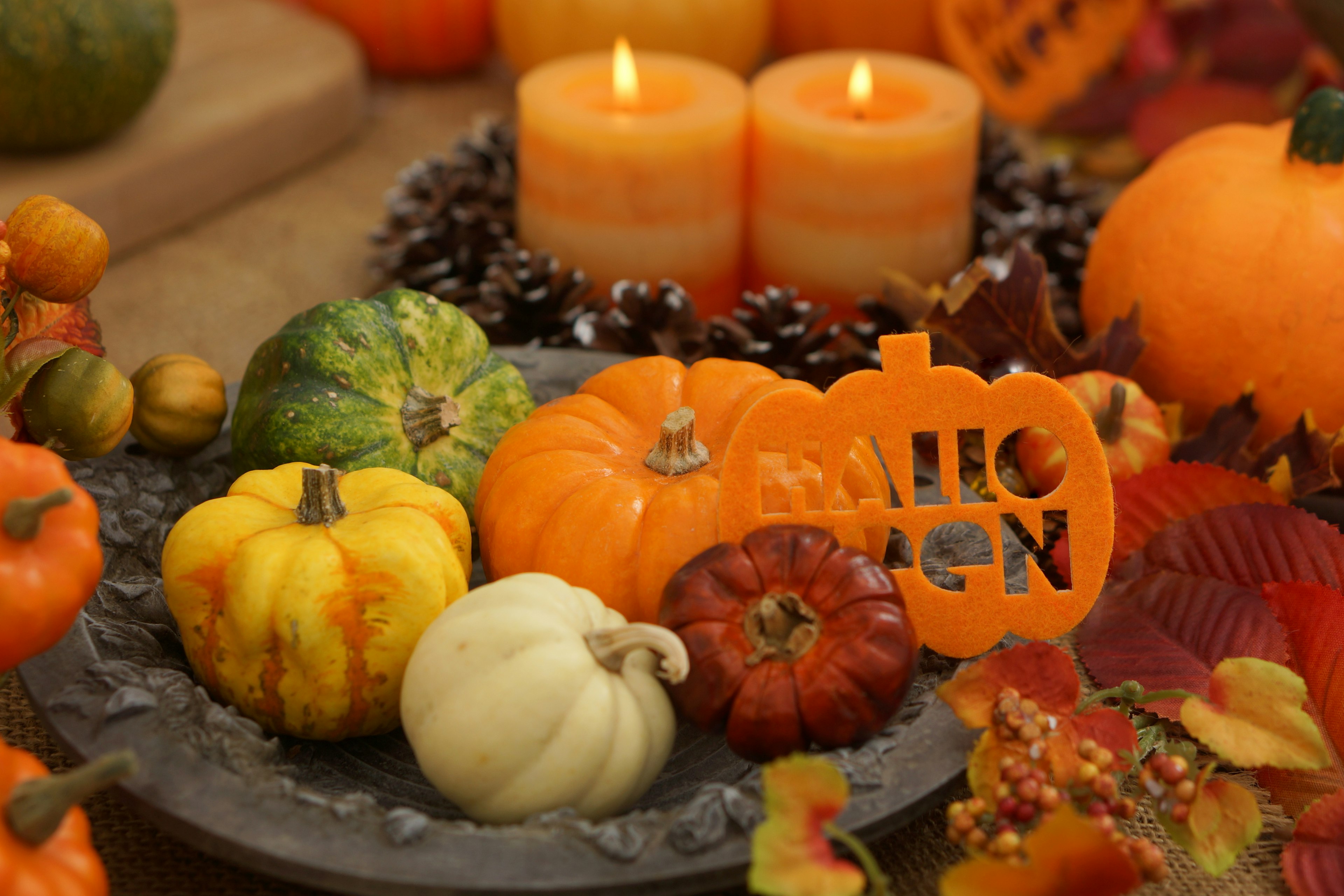 Calabazas coloridas y velas dispuestas para la decoración de Halloween