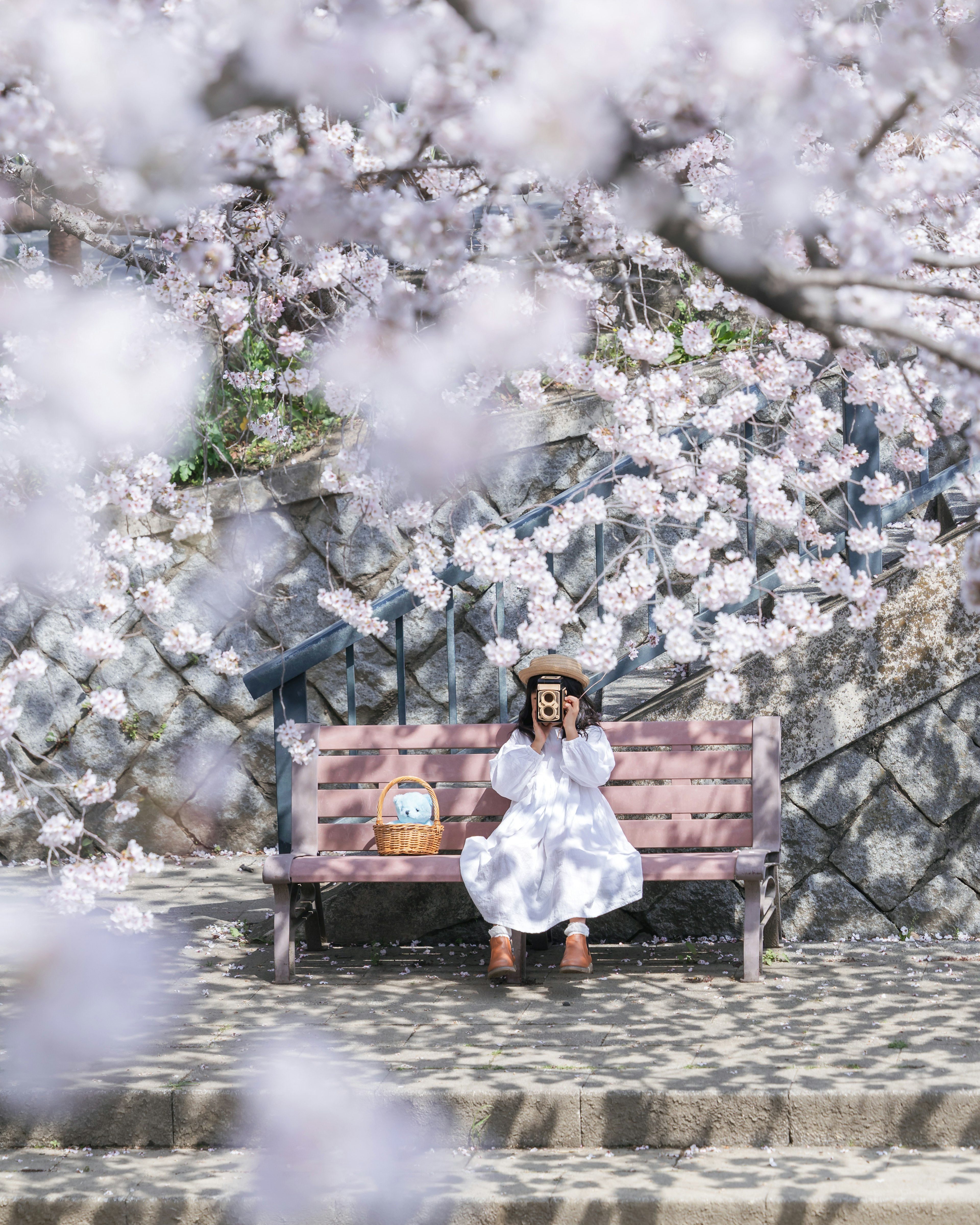 桜の花に囲まれたベンチに座る子供の少女