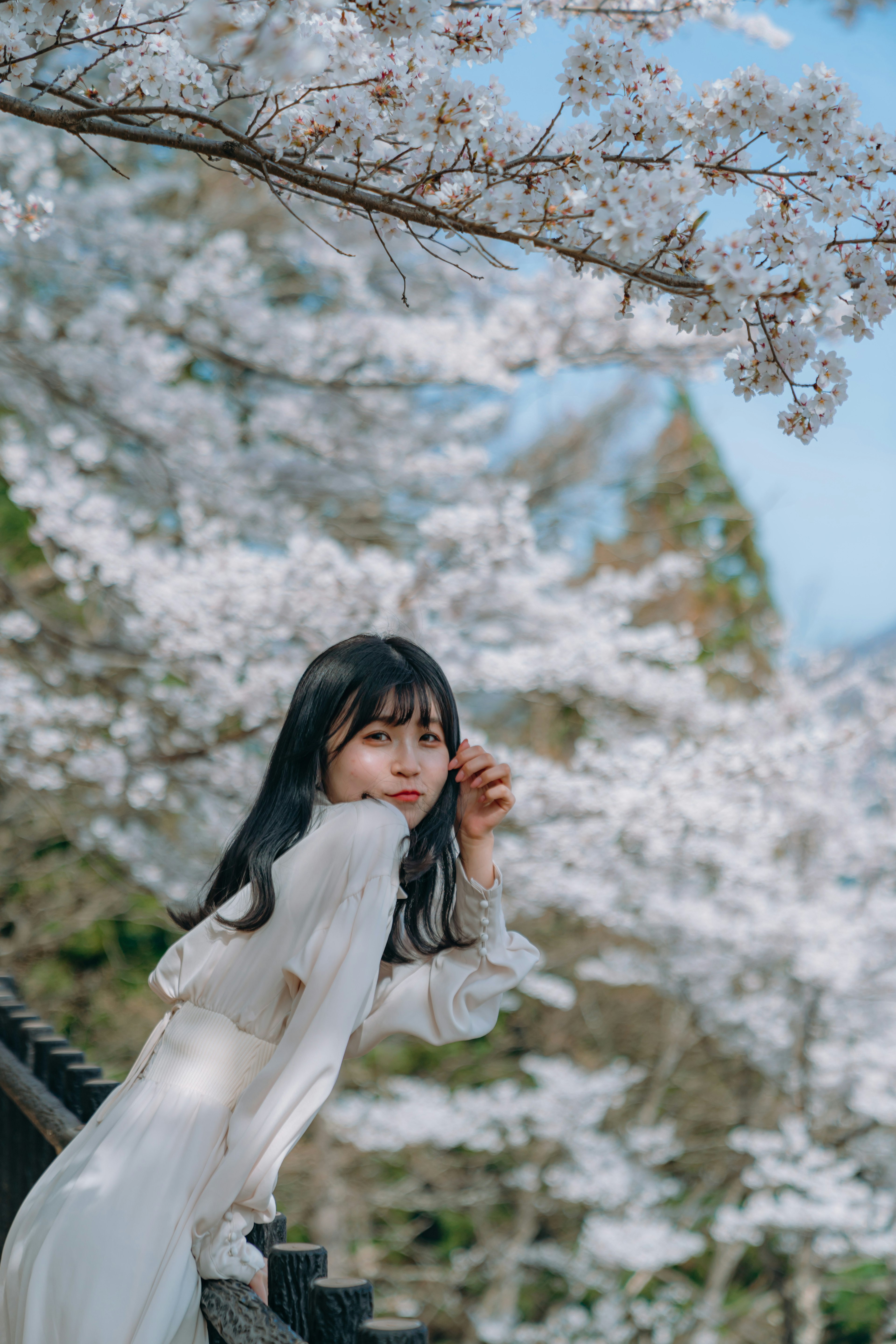 A woman in a white dress standing under cherry blossom trees