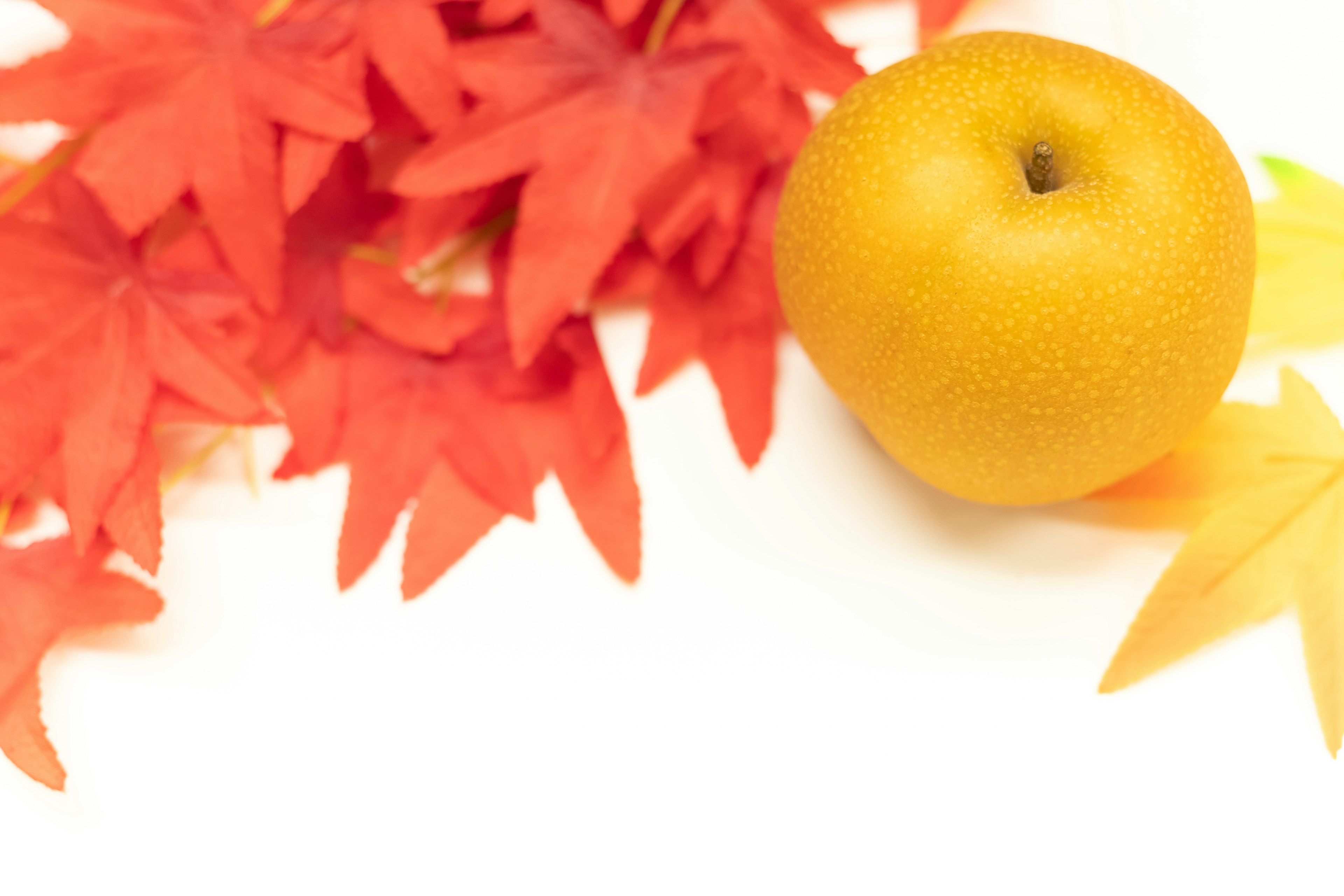 Fruta amarilla junto a hojas de arce rojas