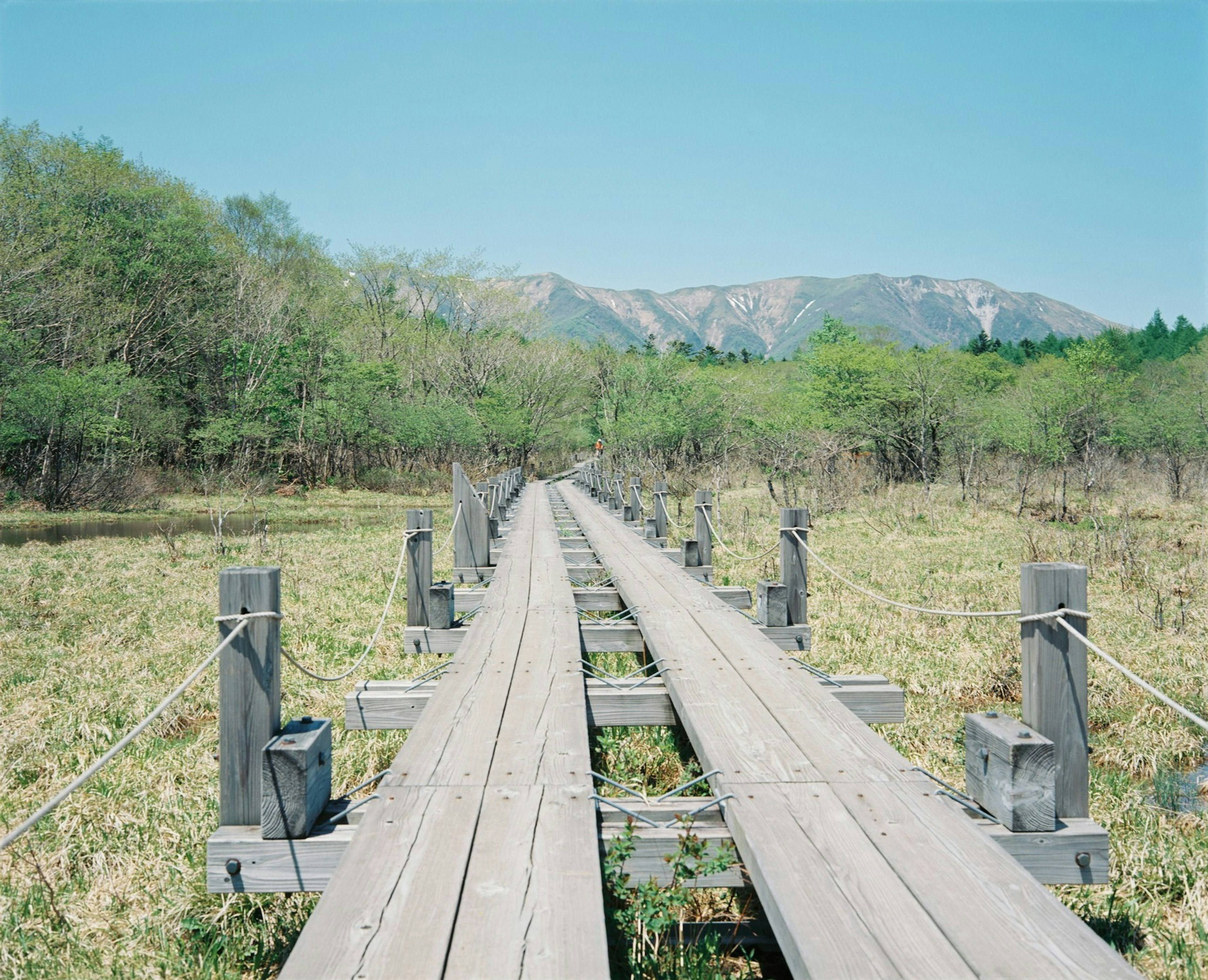 木製の歩道が広がる自然の風景　青空と山々が背景にある