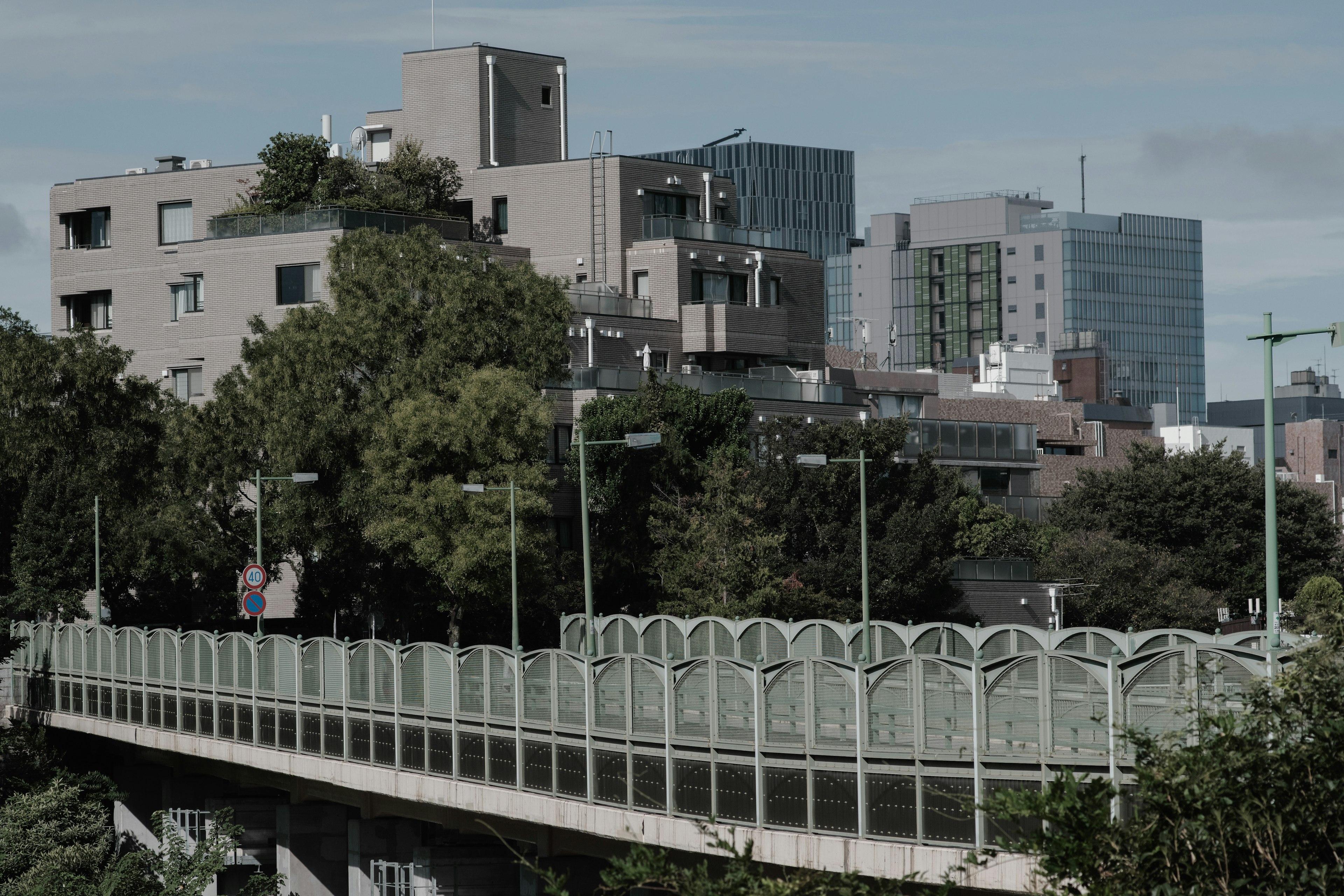 Escena de un puente elevado rodeado de vegetación y edificios urbanos