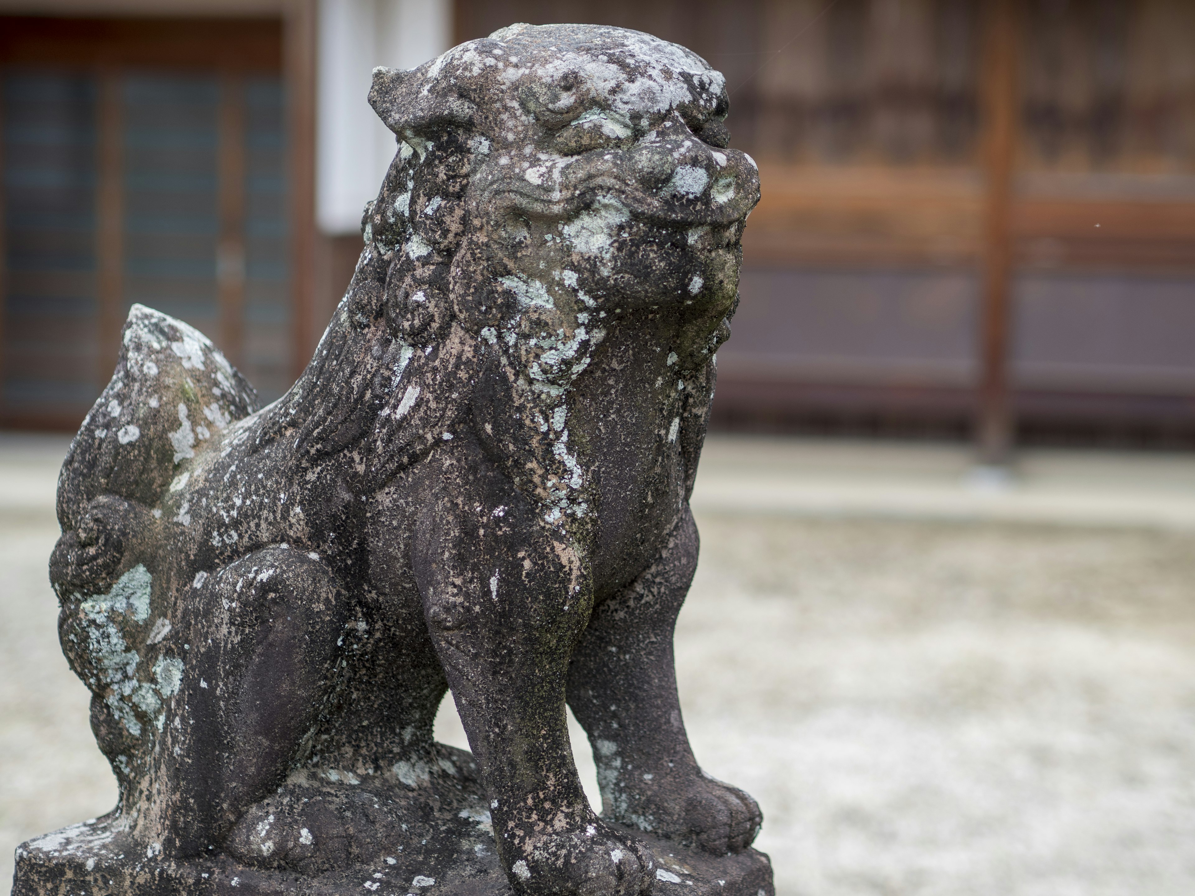 Ancient stone lion statue standing guard