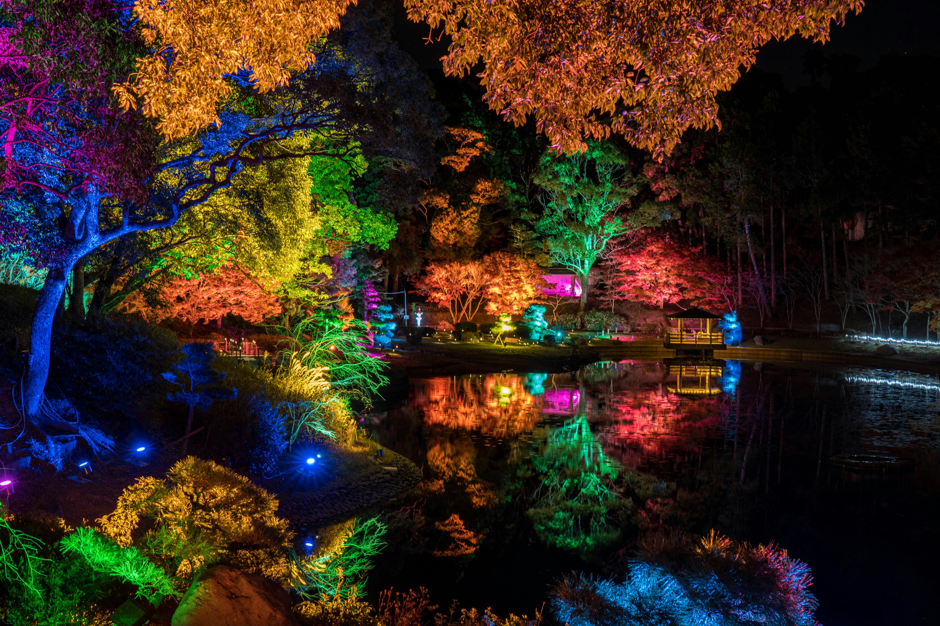 Un bellissimo paesaggio di un giardino illuminato da luci colorate di notte