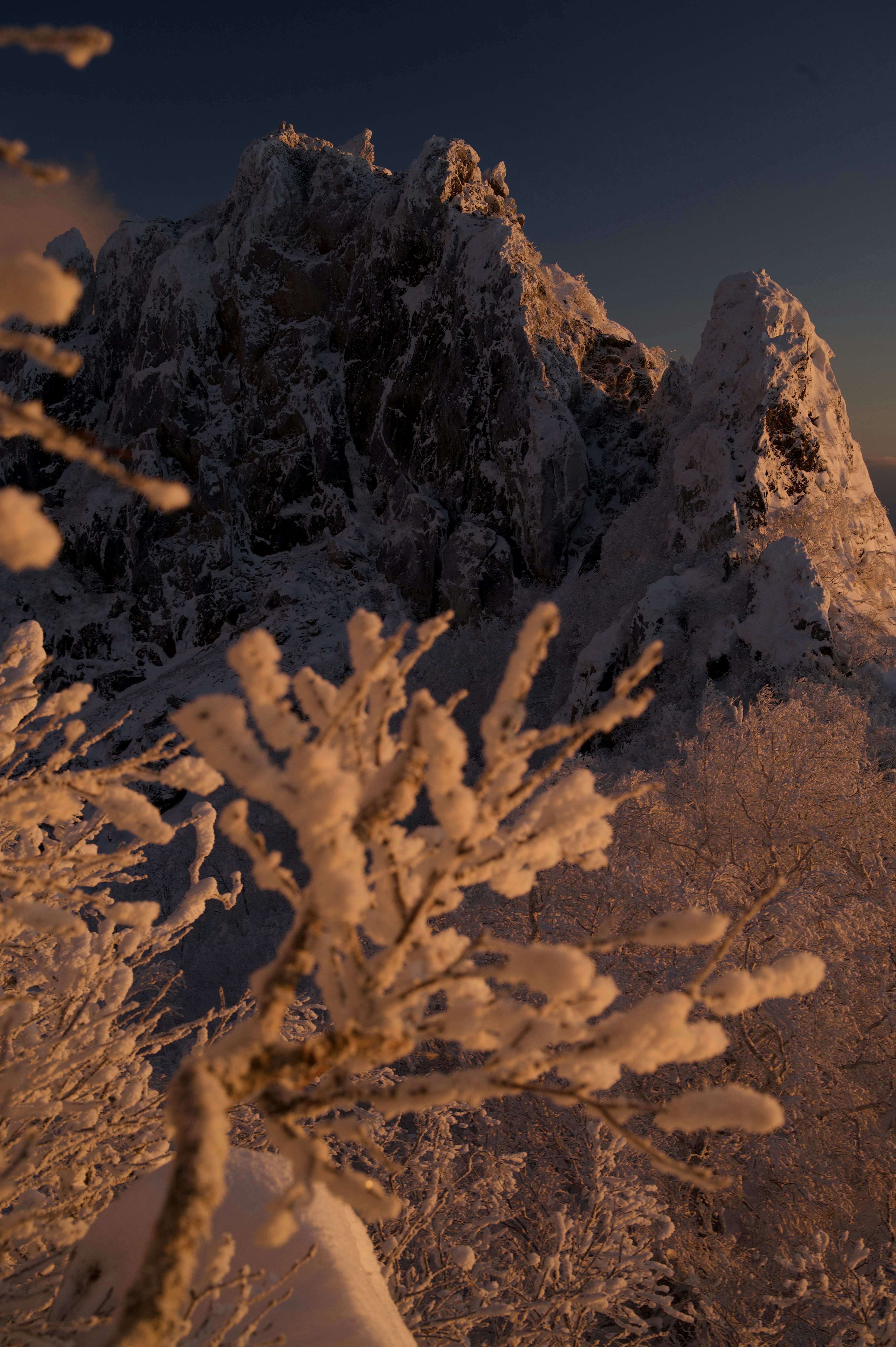 Paisaje montañoso cubierto de nieve con ramas cubiertas de escarcha