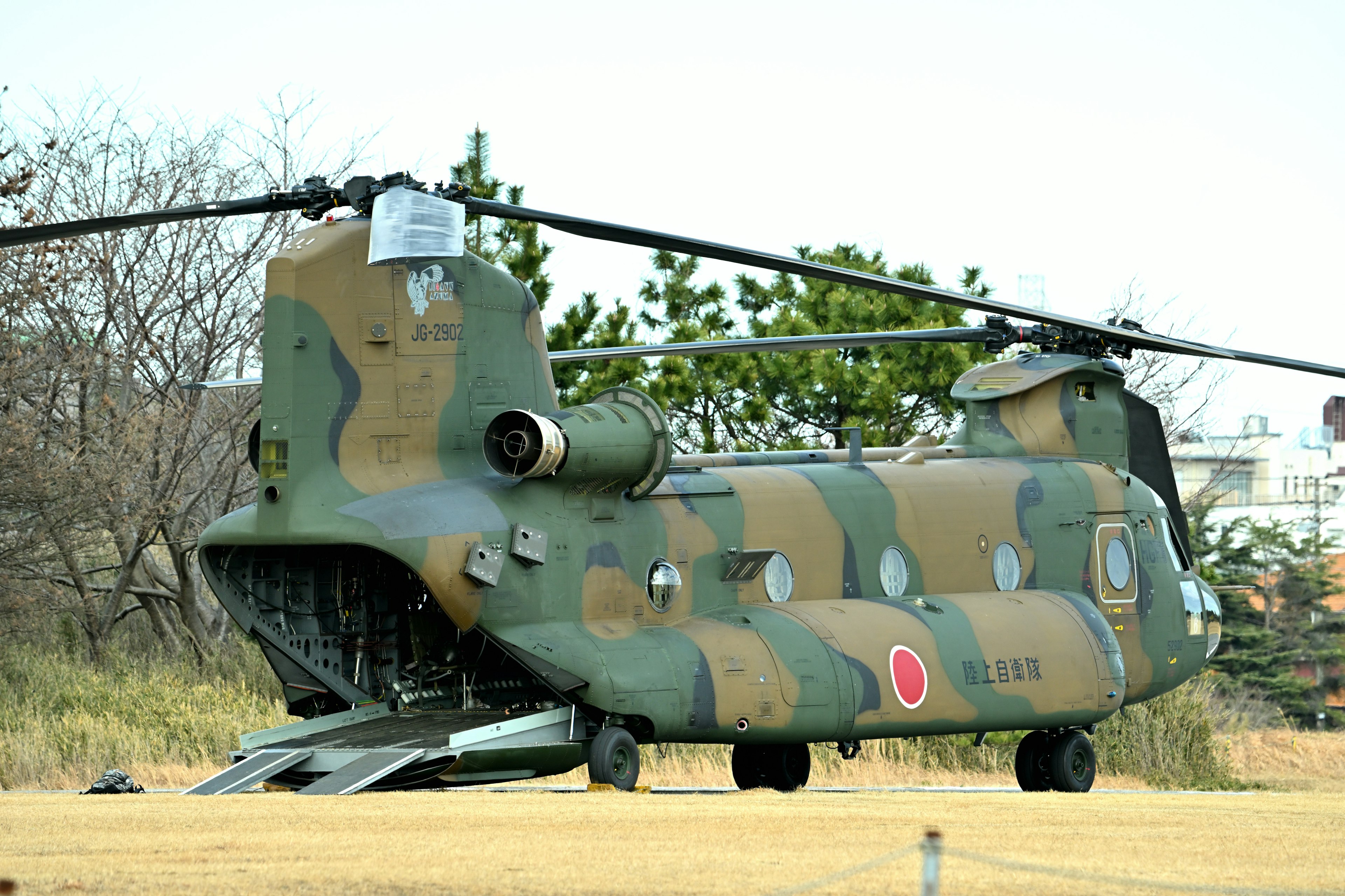 日本陸上自衛隊的CH-47奇努克直升機停在草地上