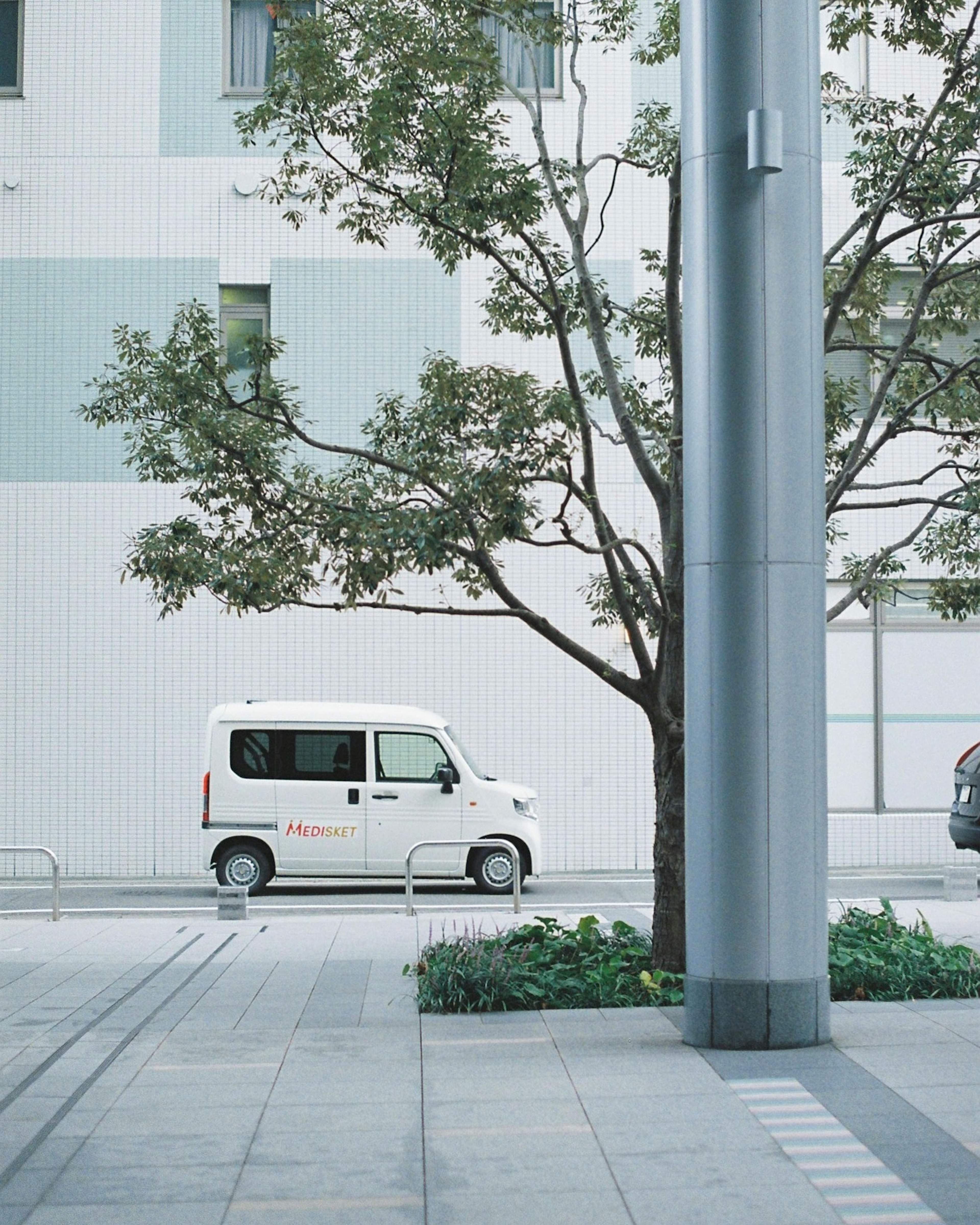 白い車と木がある都市の風景