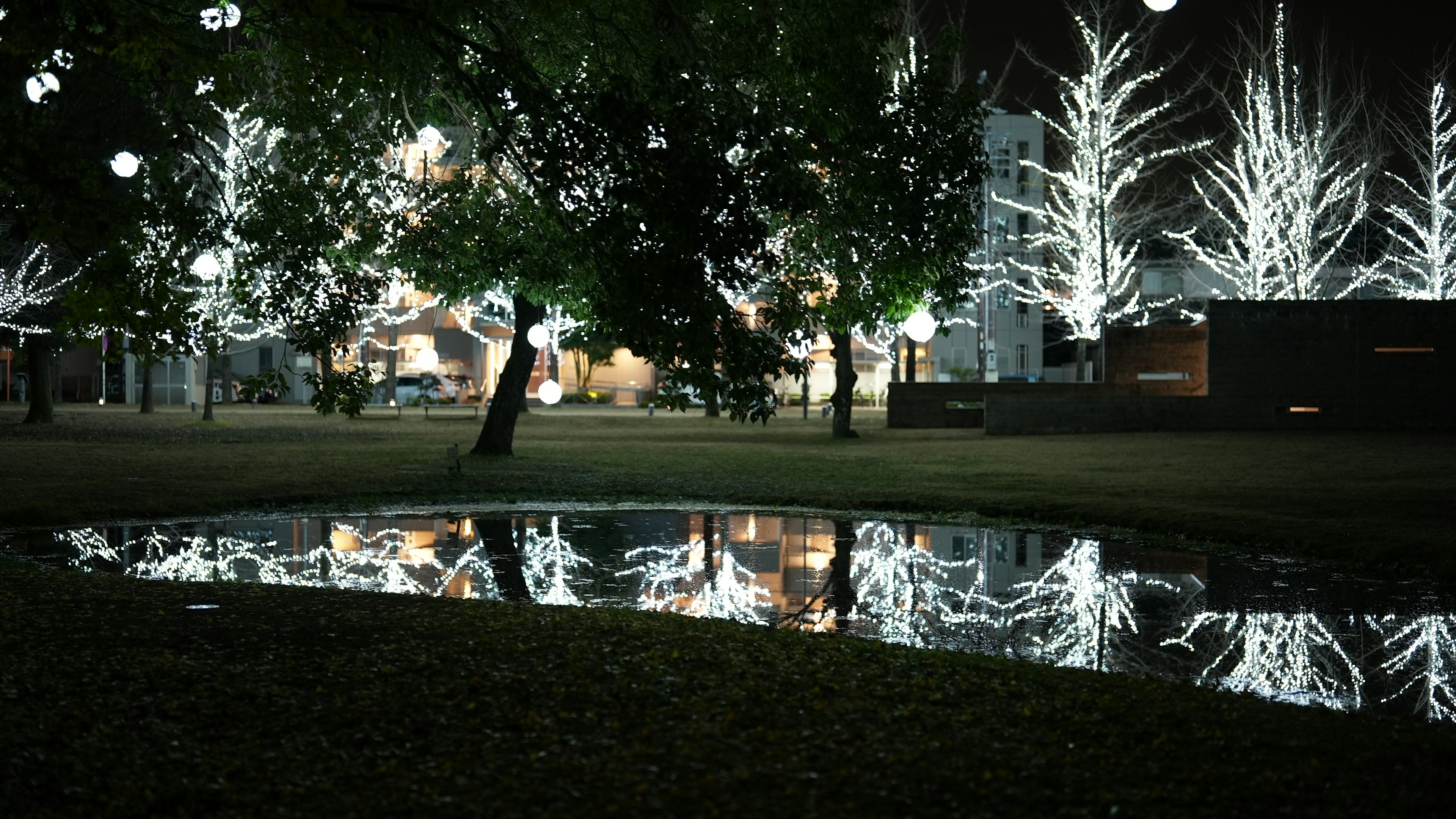 Beleuchtete Bäume spiegeln sich nachts in einer Pfütze im Park