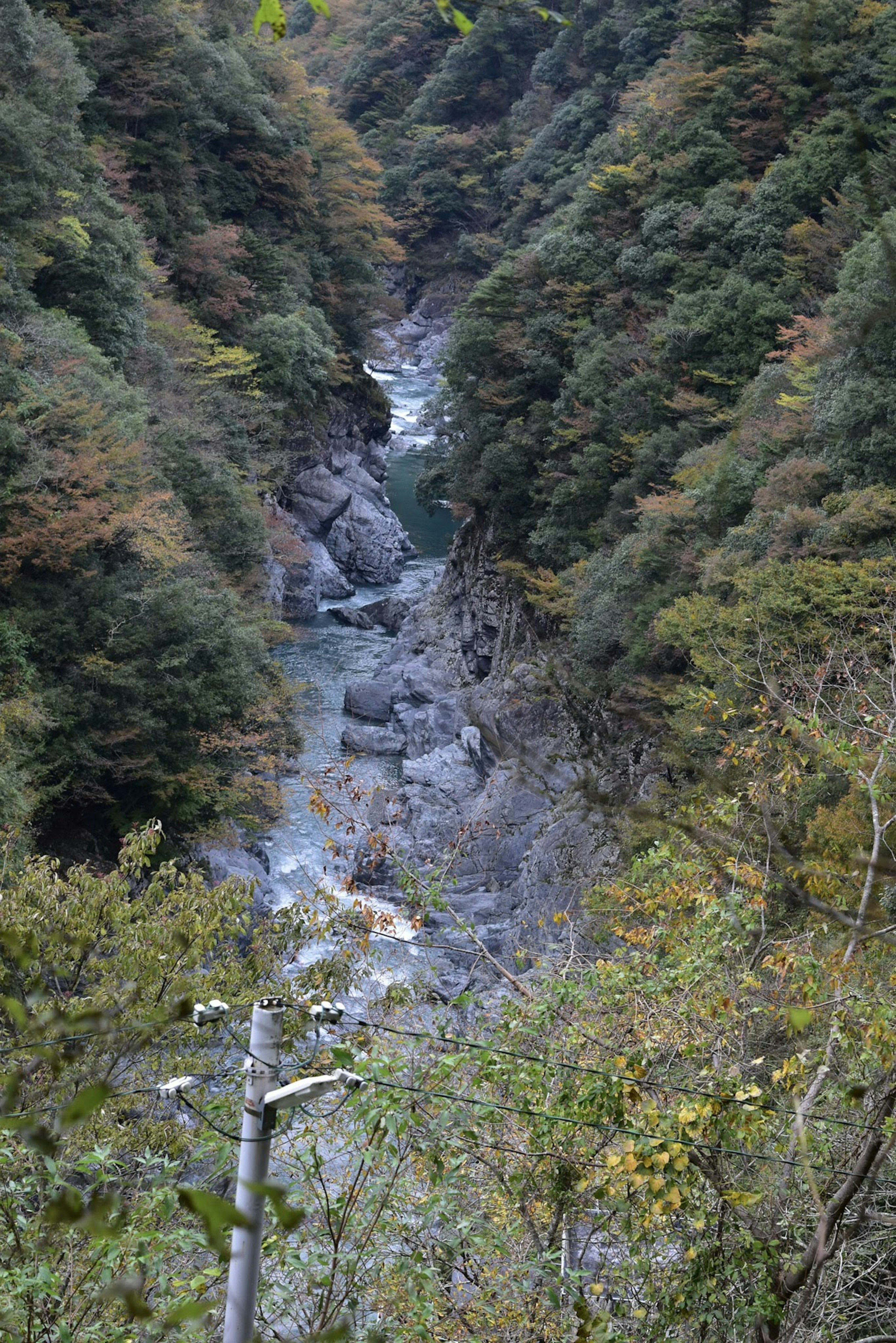 美しい渓谷と流れる川の風景、緑の木々に囲まれた岩