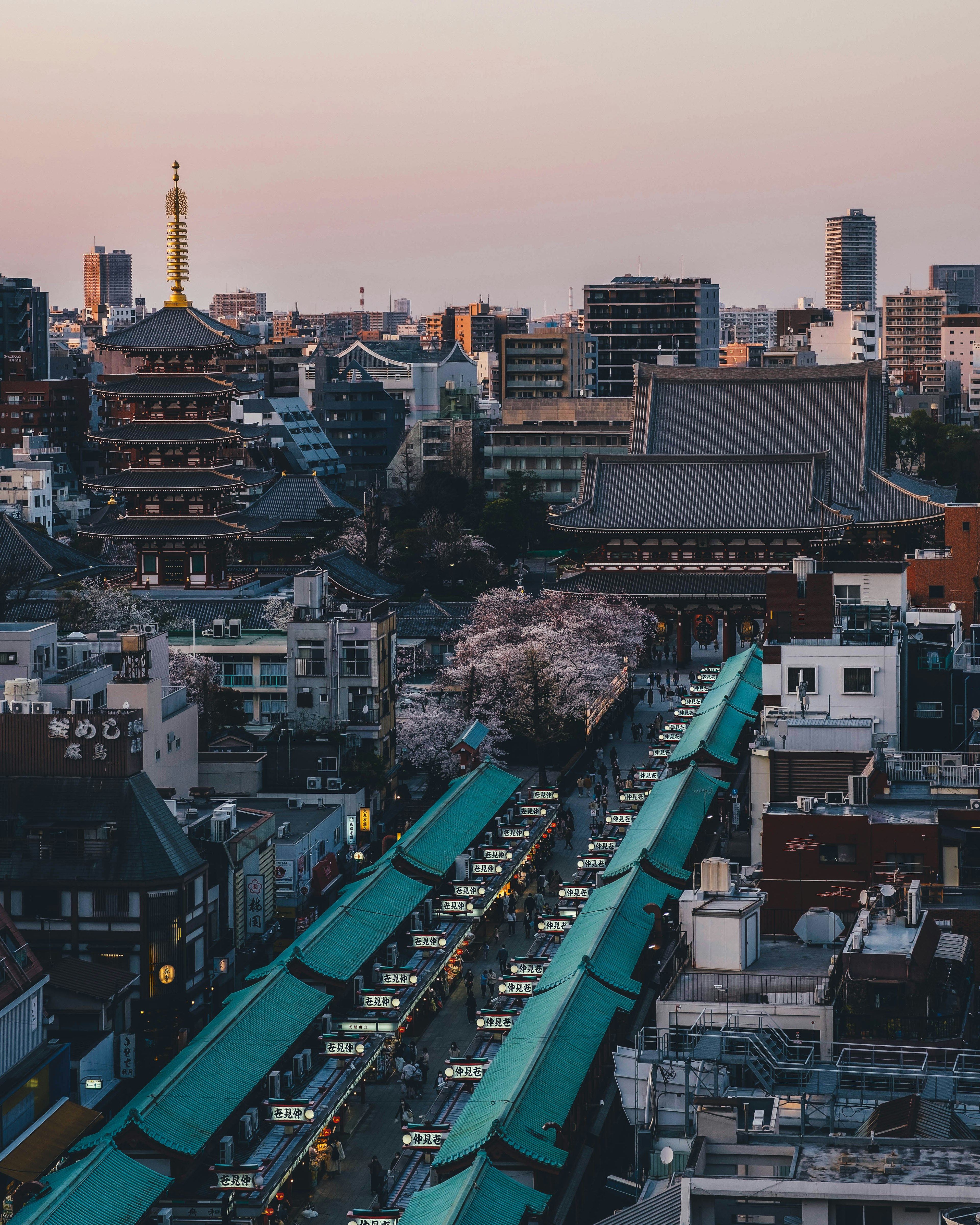 东京城市景观，樱花树与摩天大楼