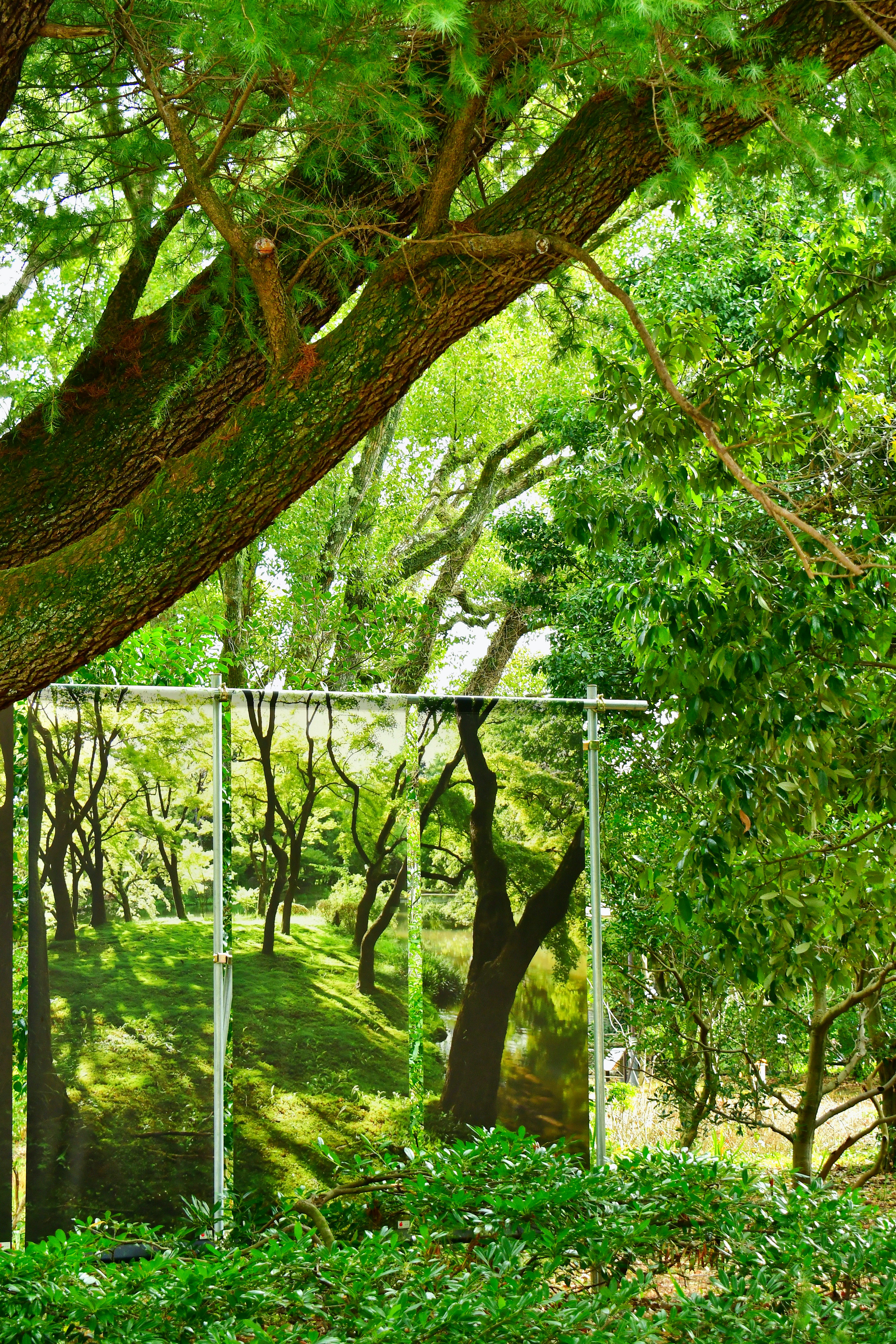 郁郁葱葱的公园场景，树木和草地，背景有框架状结构