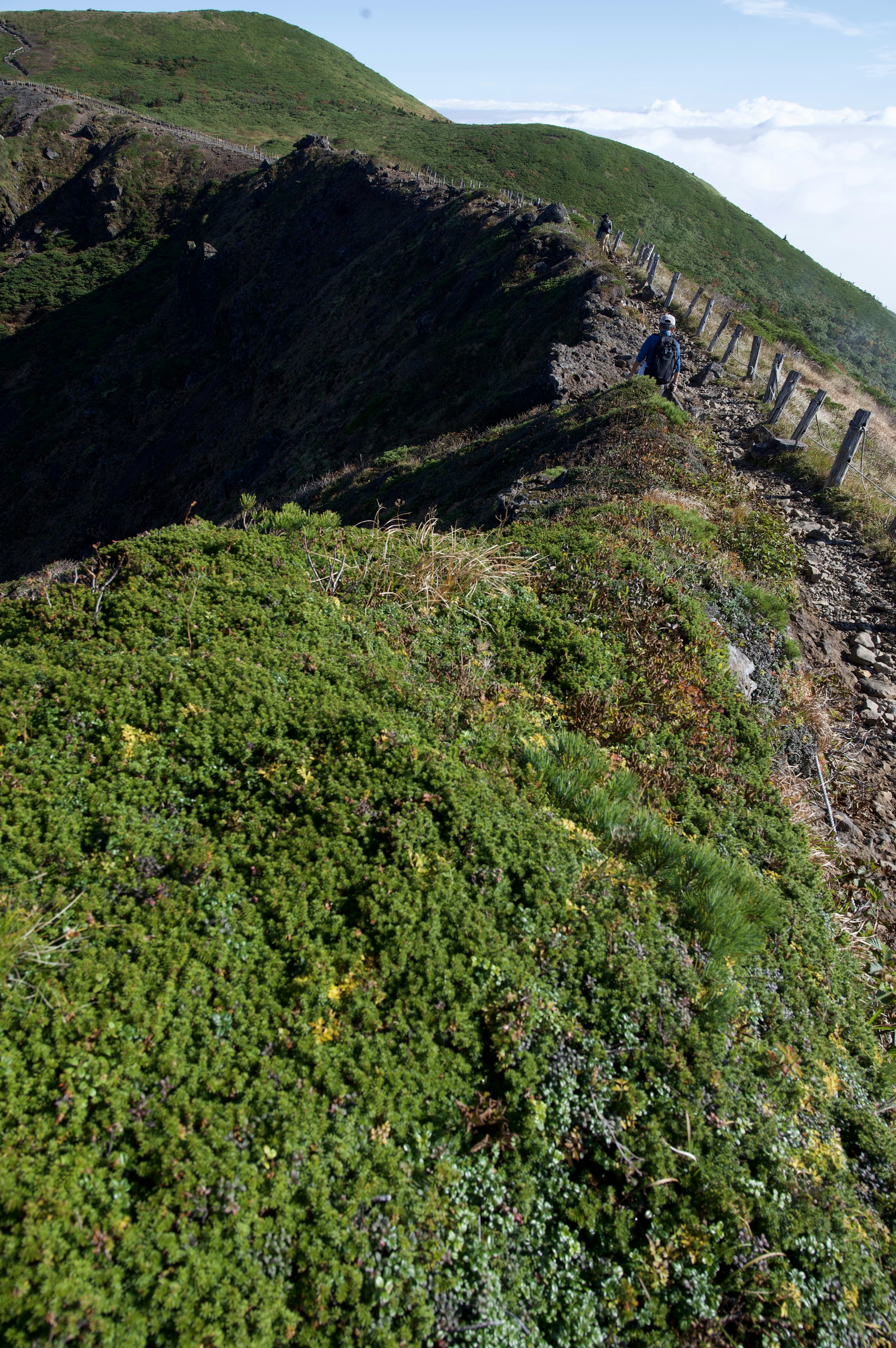 緑の植物が覆う山の斜面と険しい崖の風景