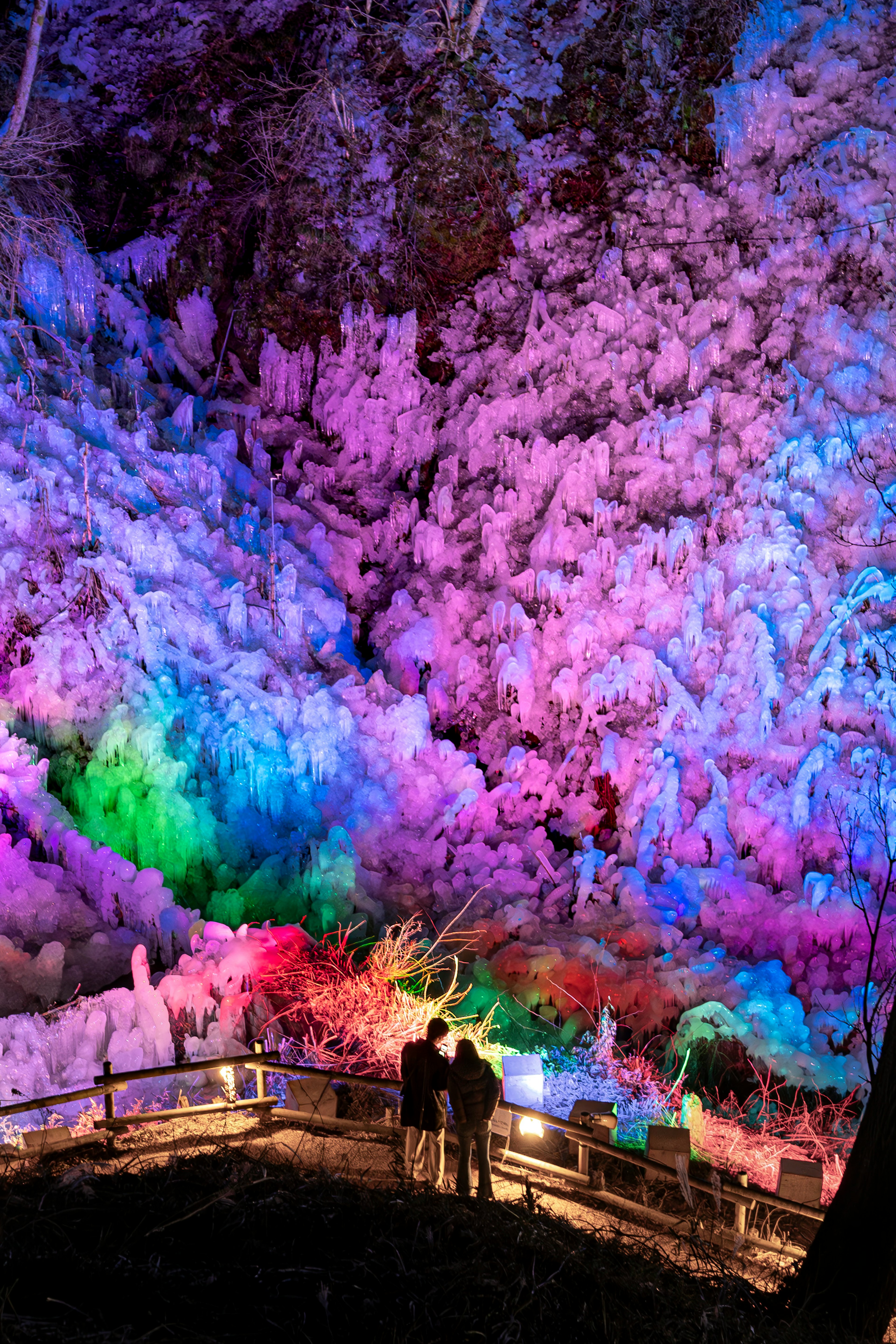 Dos personas de pie frente a un bosque iluminado de colores vibrantes