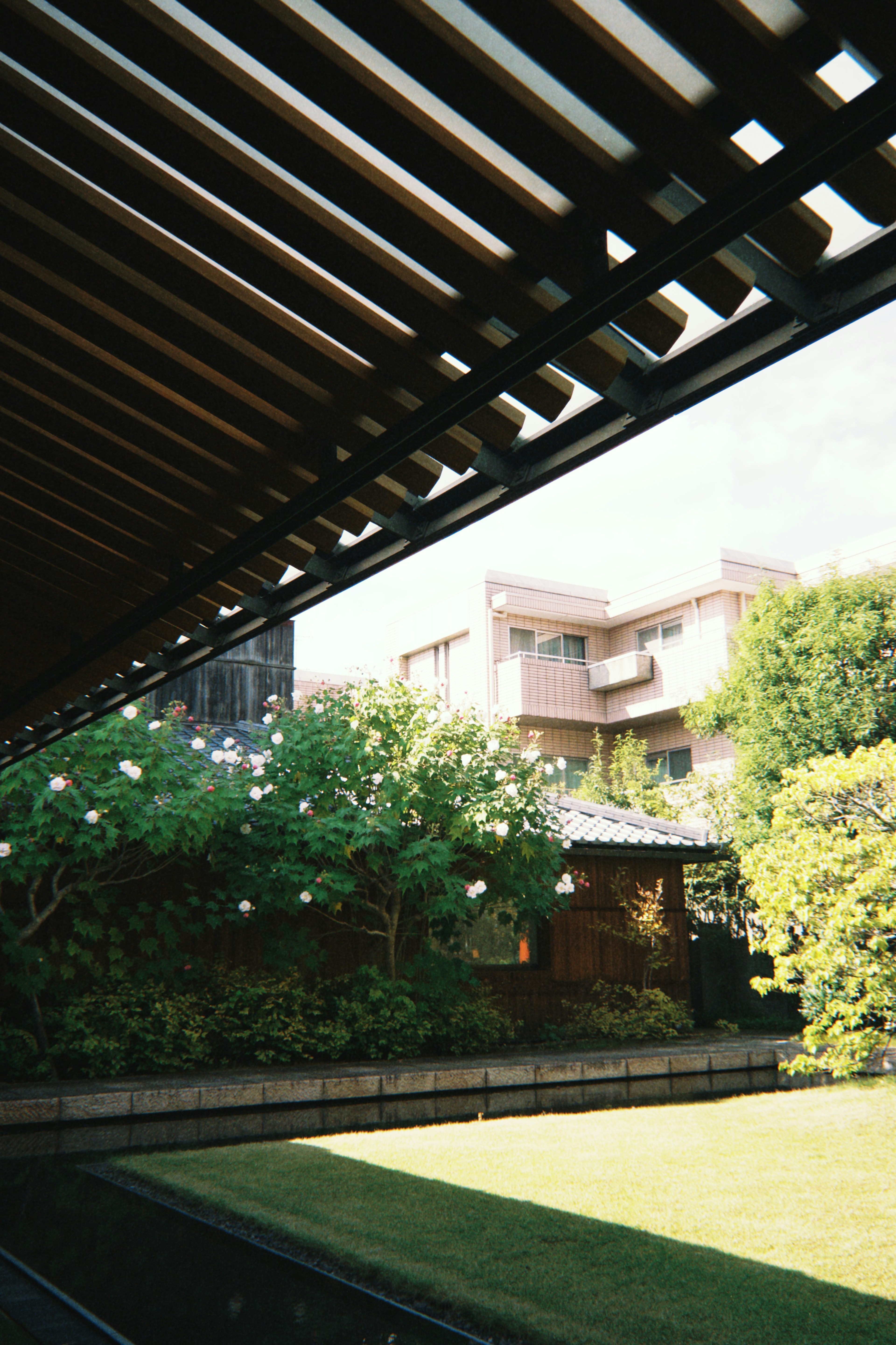 Una hermosa vista del jardín enmarcada por un techo de listones de madera