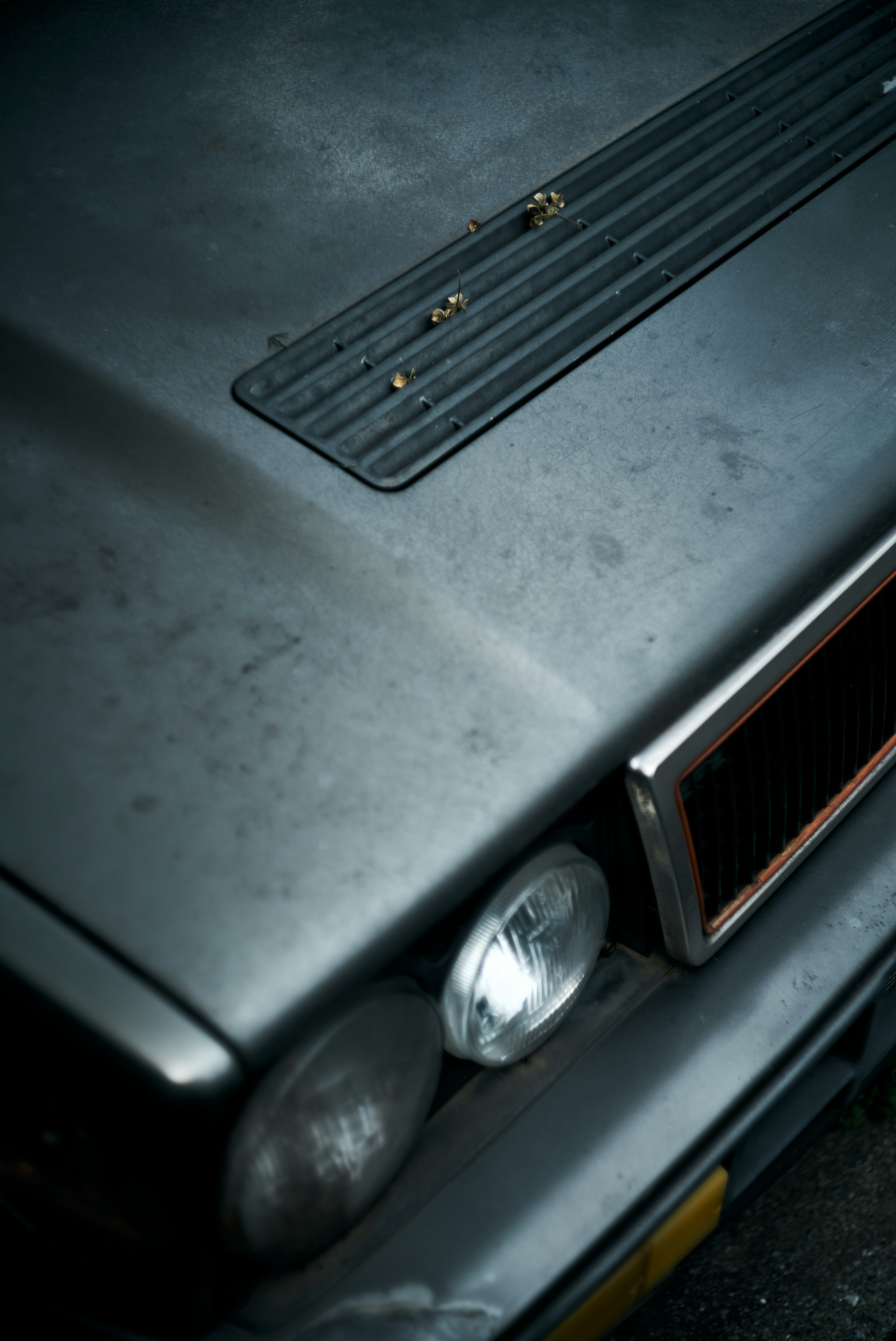 Close-up of an old car hood showing rusty metal texture and worn surface