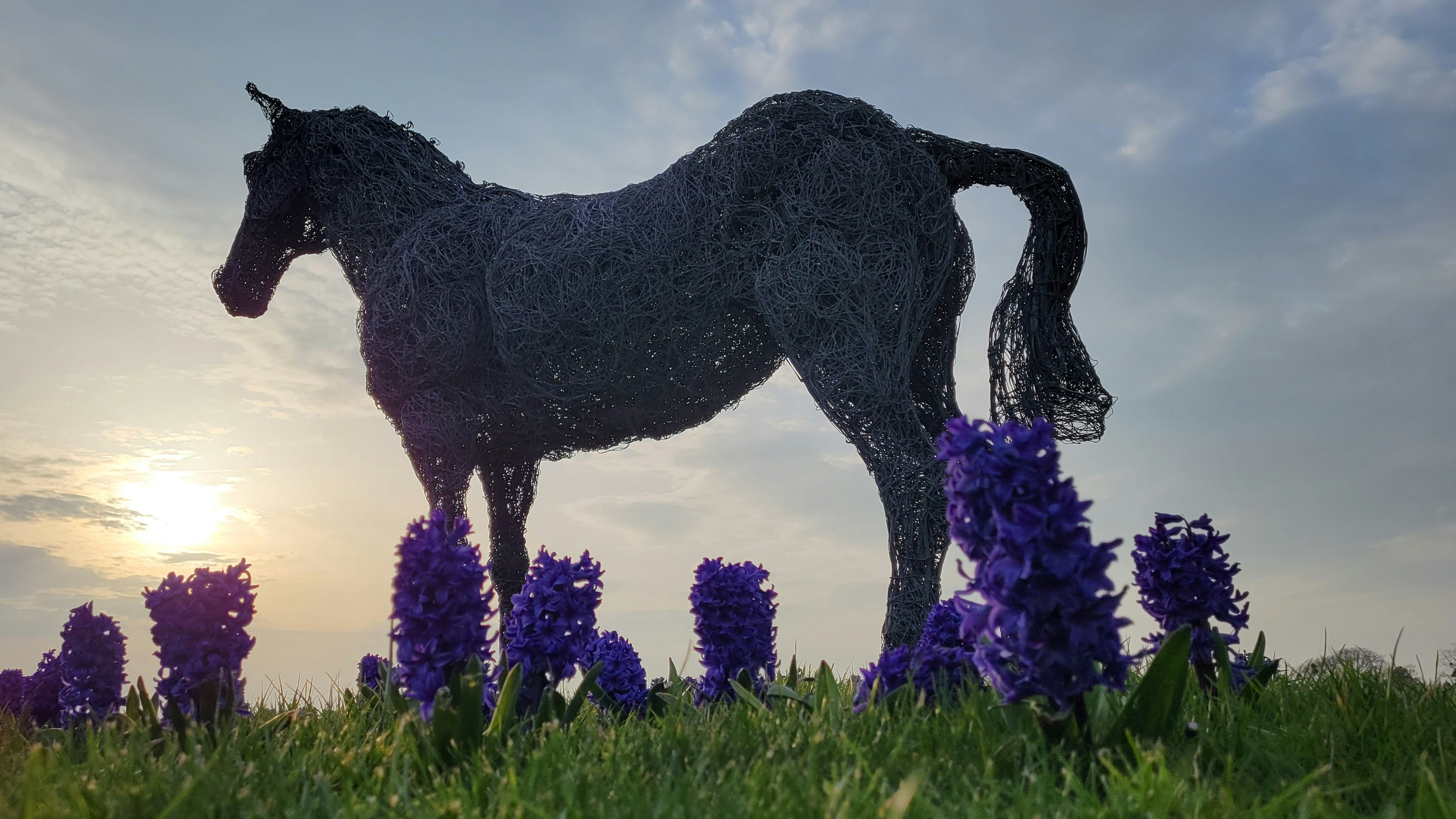 紫色の花に囲まれた黒い馬のシルエットと夕日の風景