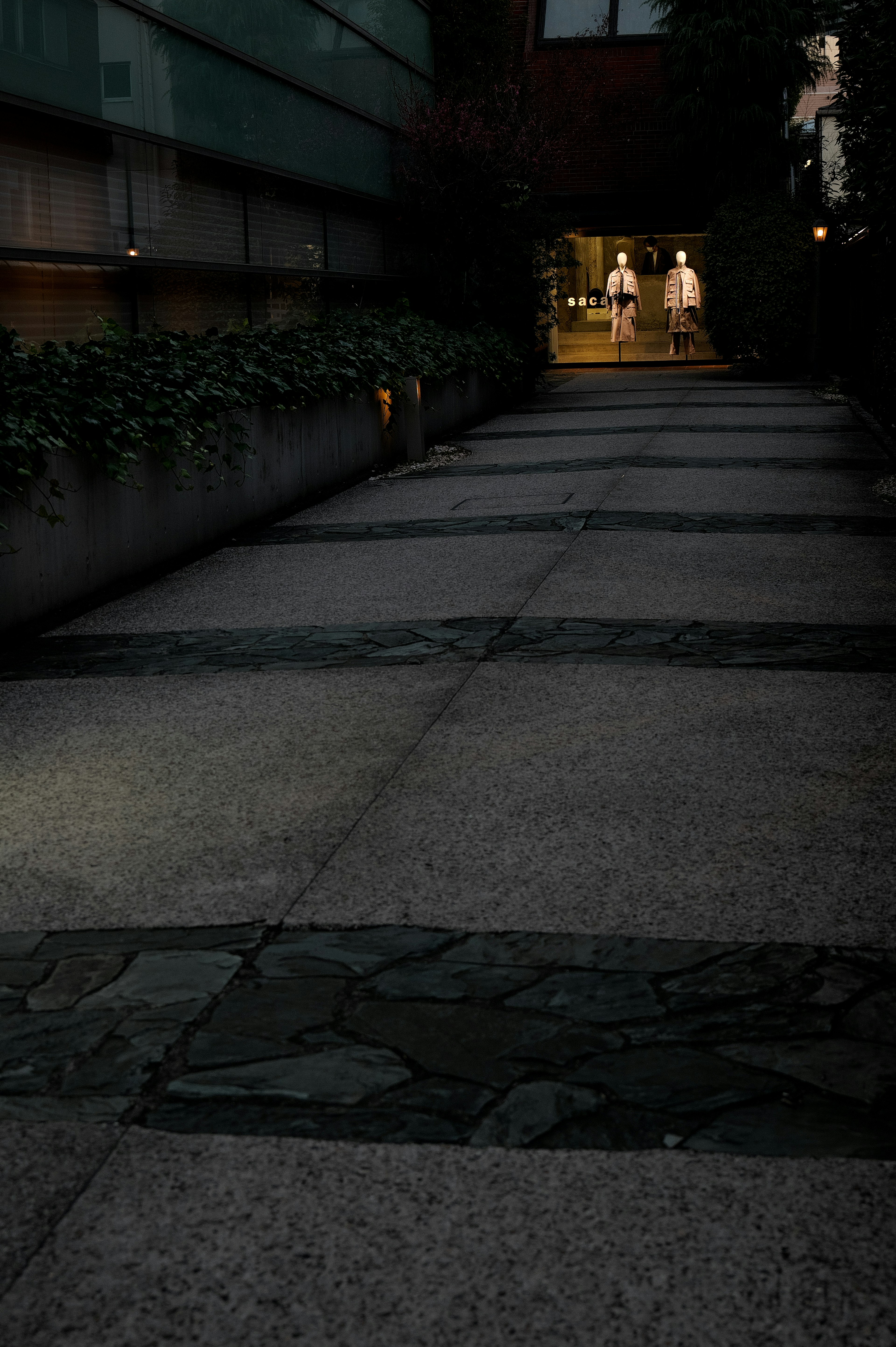 暗い通路に沿った石の舗装と緑の植物のある景色