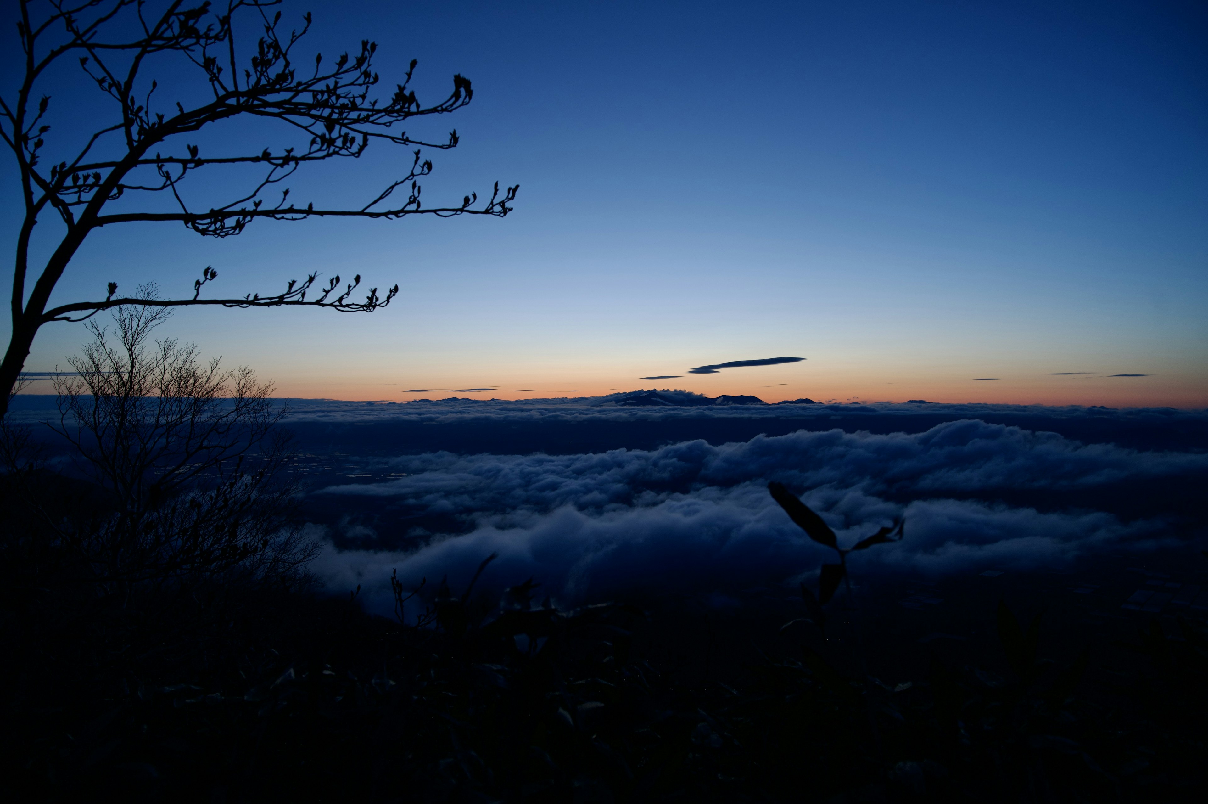 黃昏場景與雲海和輪廓樹