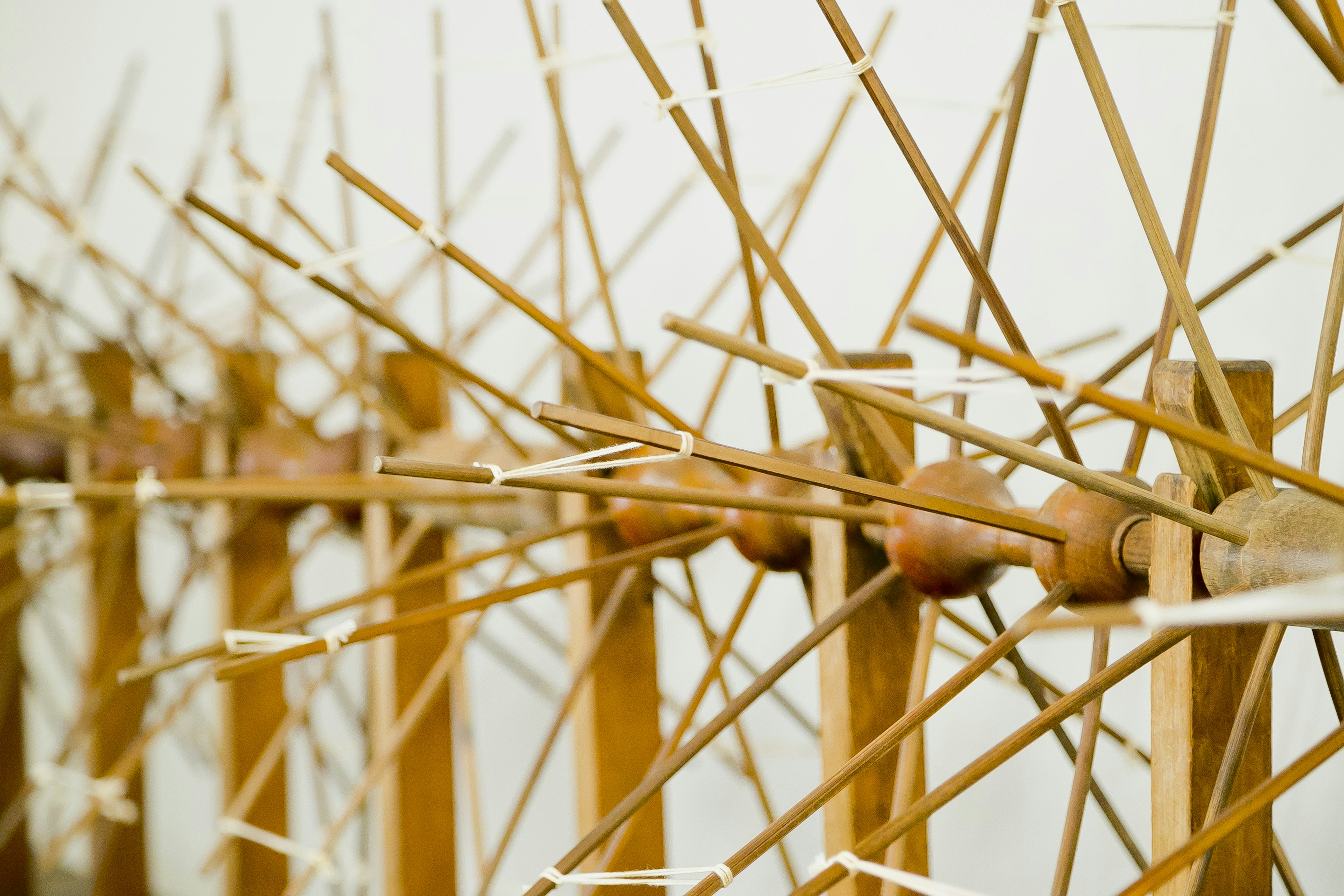 Close-up of a bamboo structure with many thin rods arranged radially