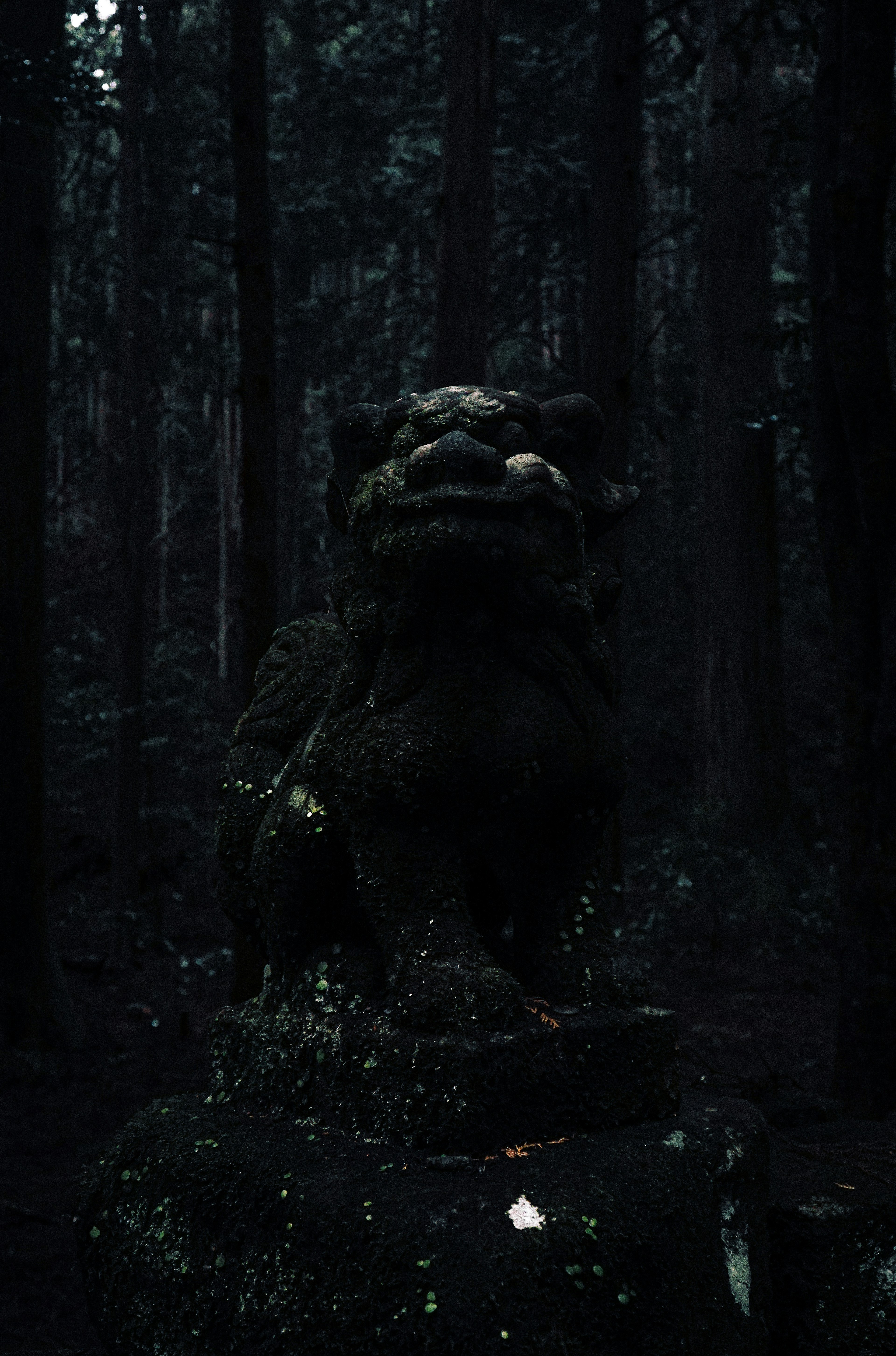 Moss-covered lion statue in a dark forest