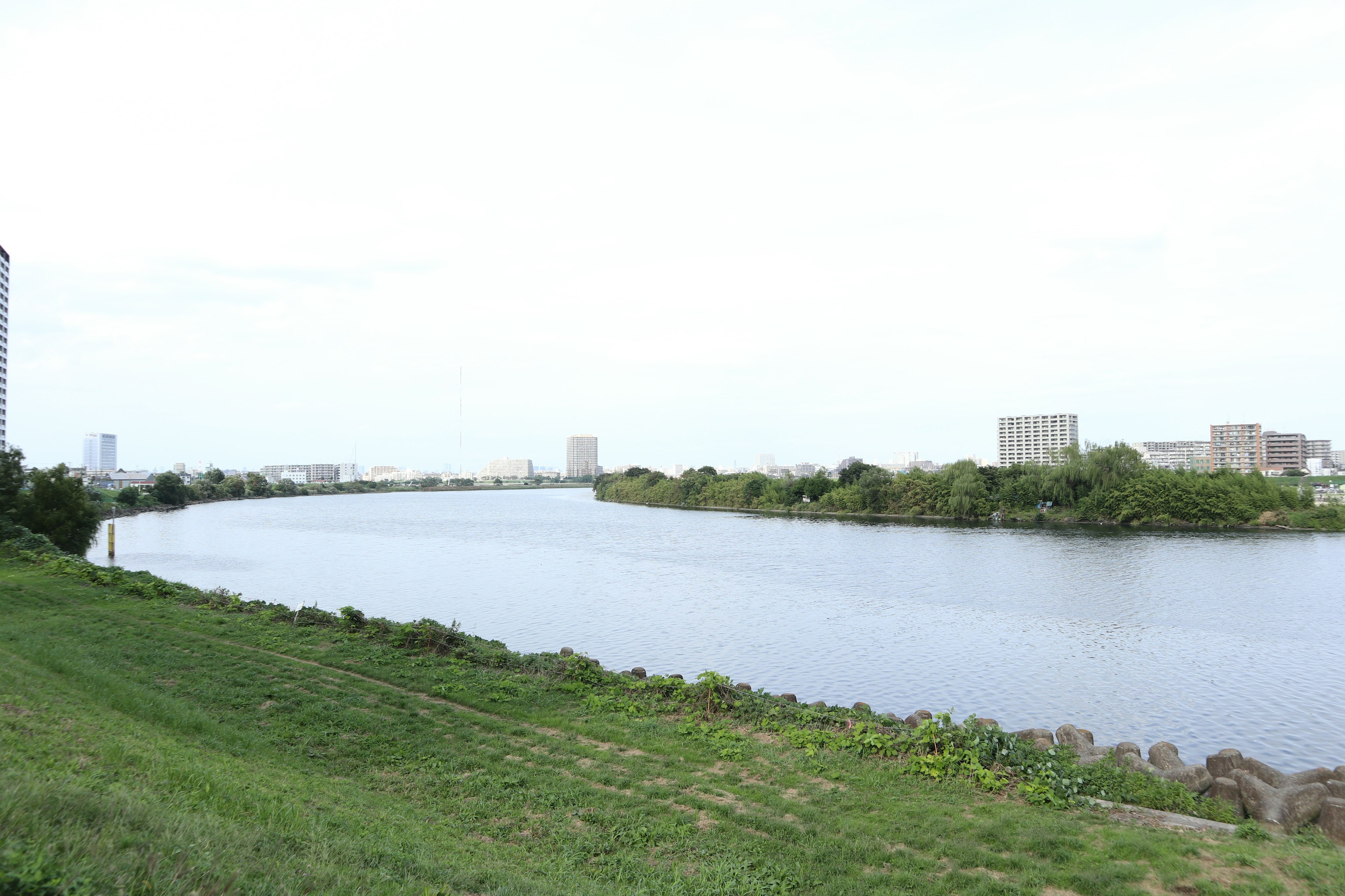 Pemandangan indah dari tepi sungai hijau dengan air tenang