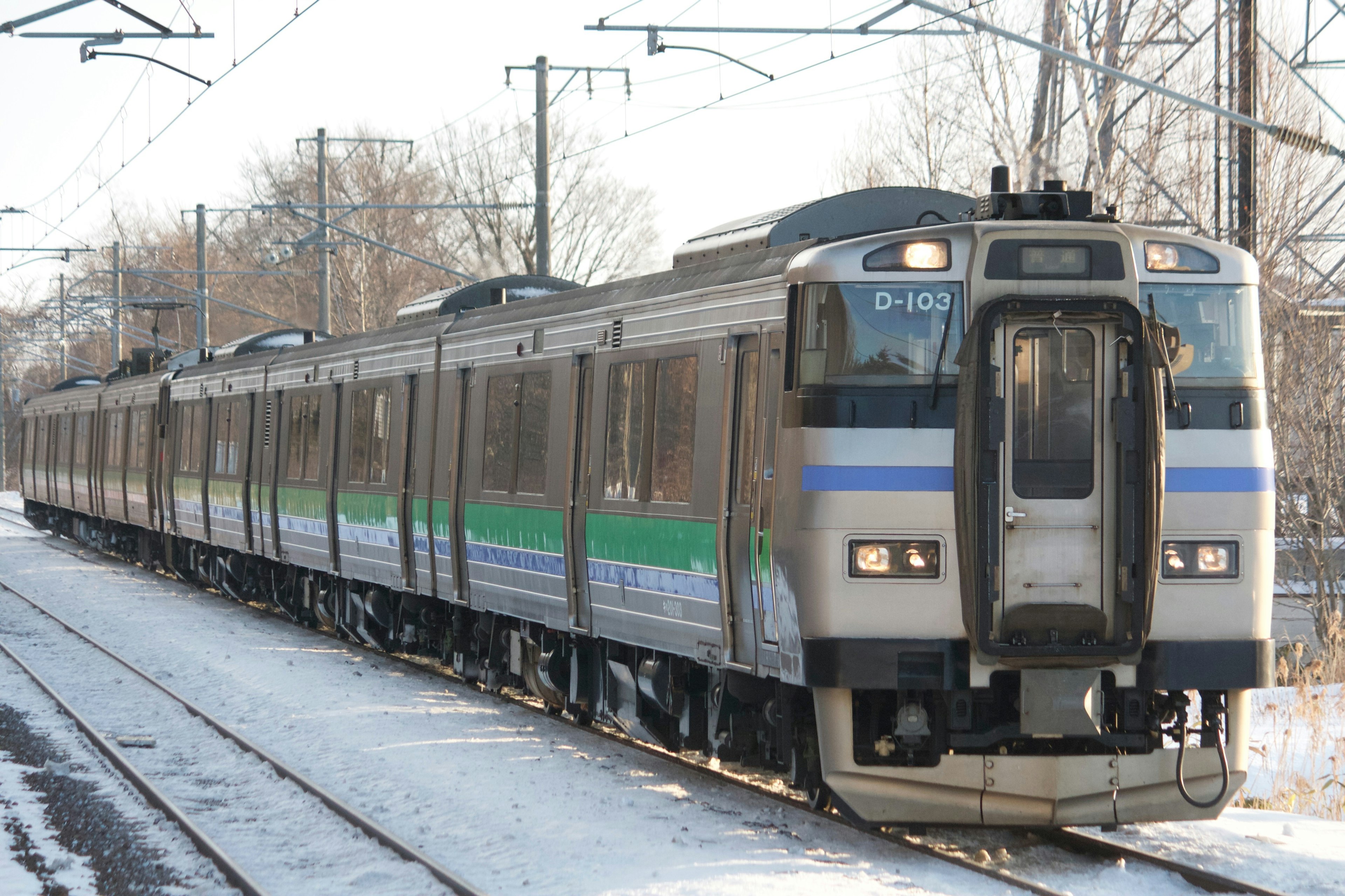 雪の中を走る電車の側面と色彩