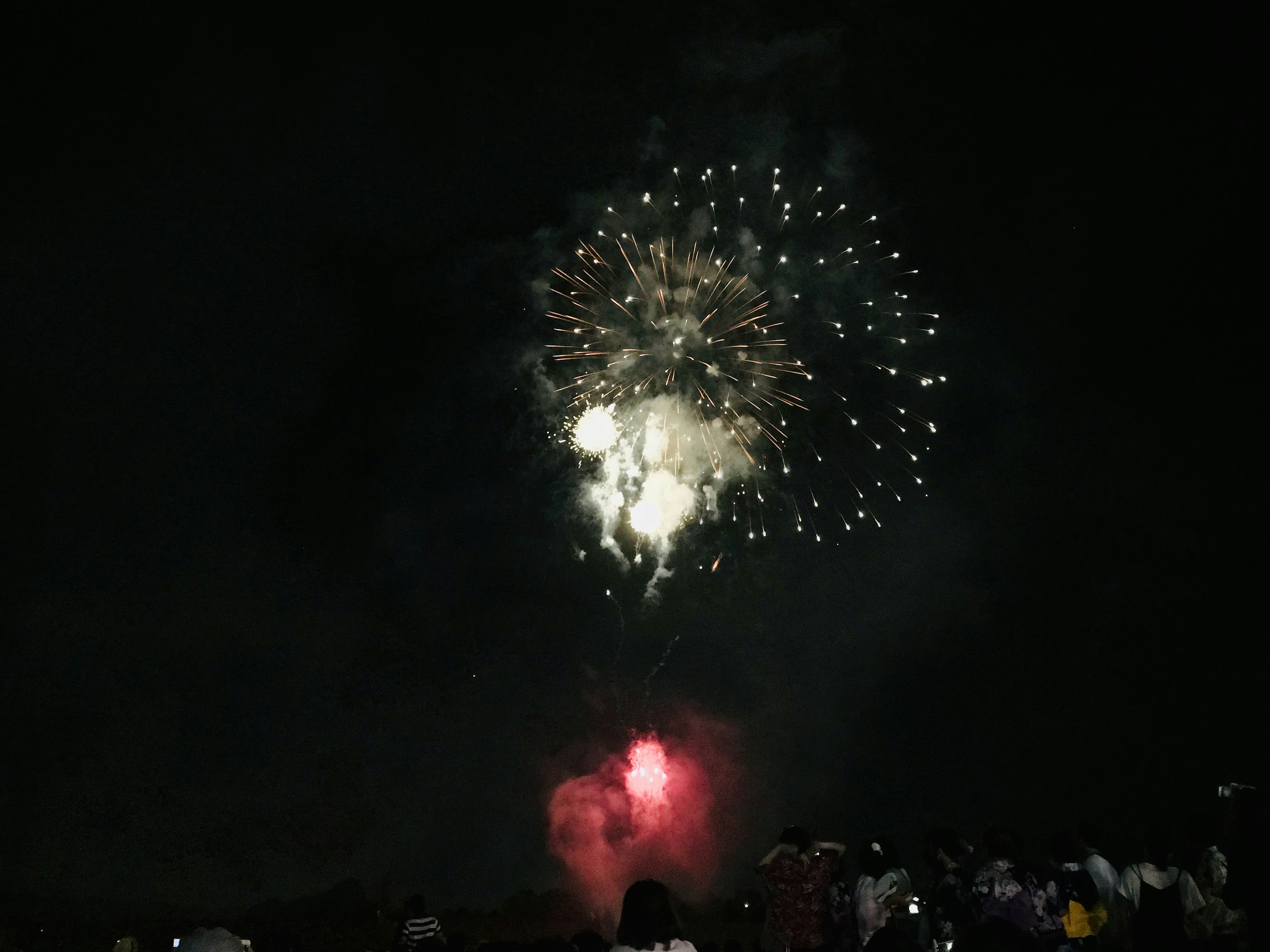 Fuochi d'artificio colorati esplodono nel cielo notturno con spettatori che guardano