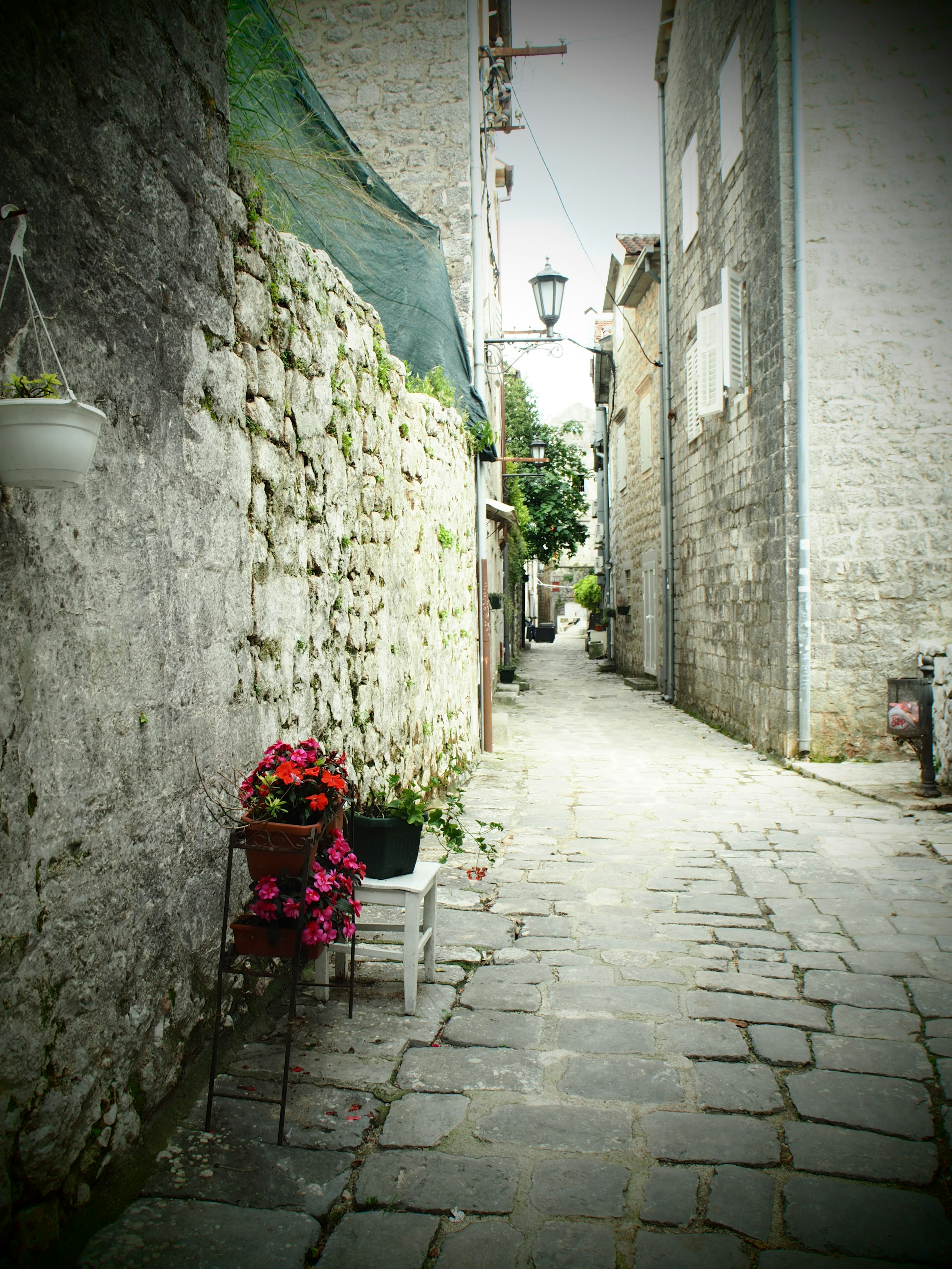 Vicolo stretto in pietra con vasi di fiori e edifici storici