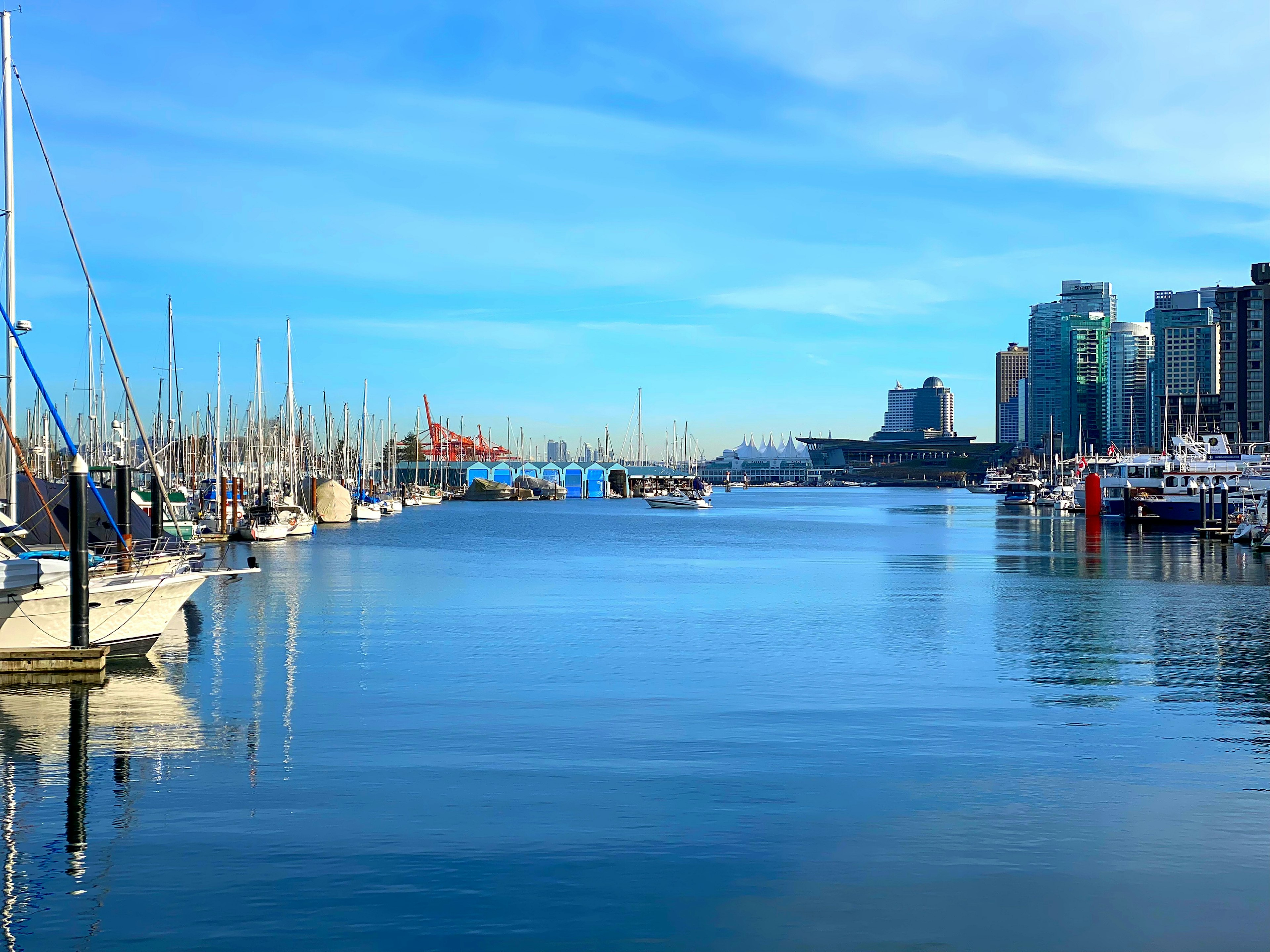 Calm waterfront scene with blue sky and boats in the harbor