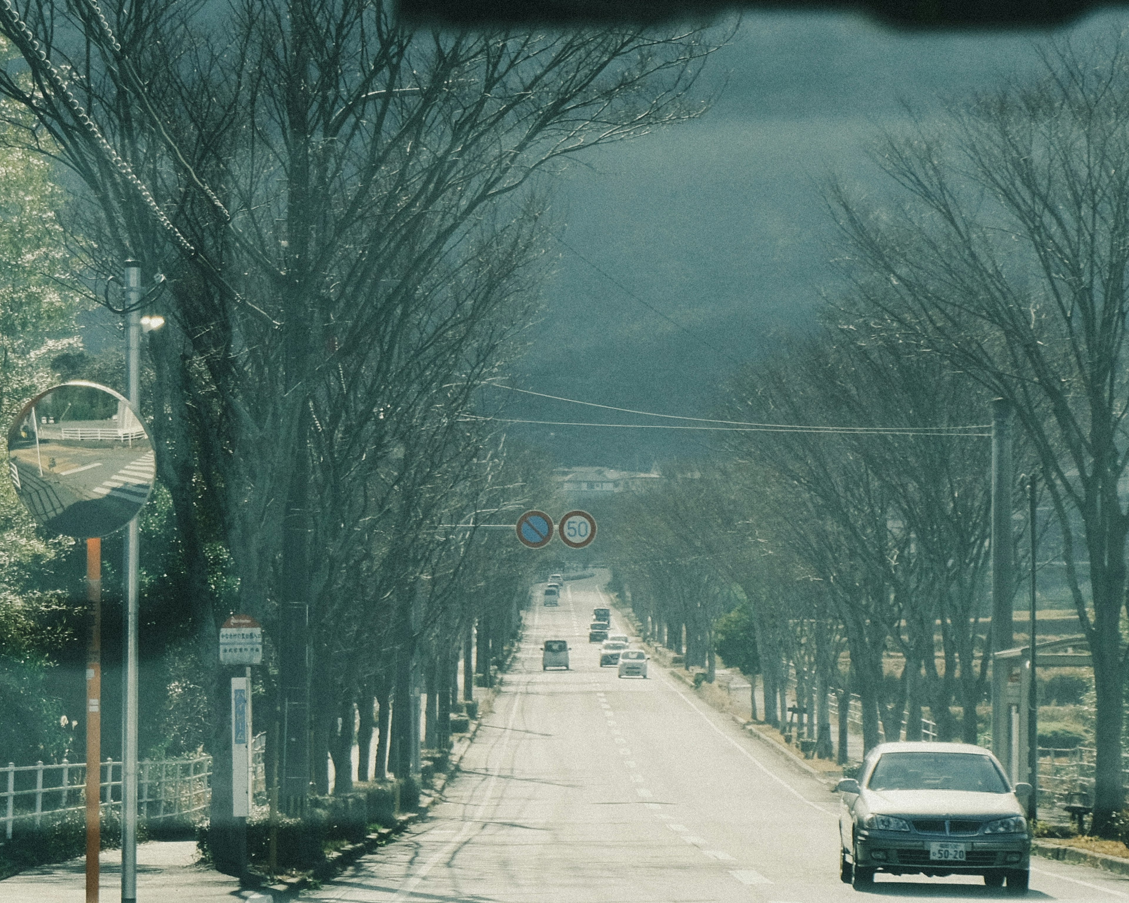 霧のかかった道路と木々が並ぶ風景