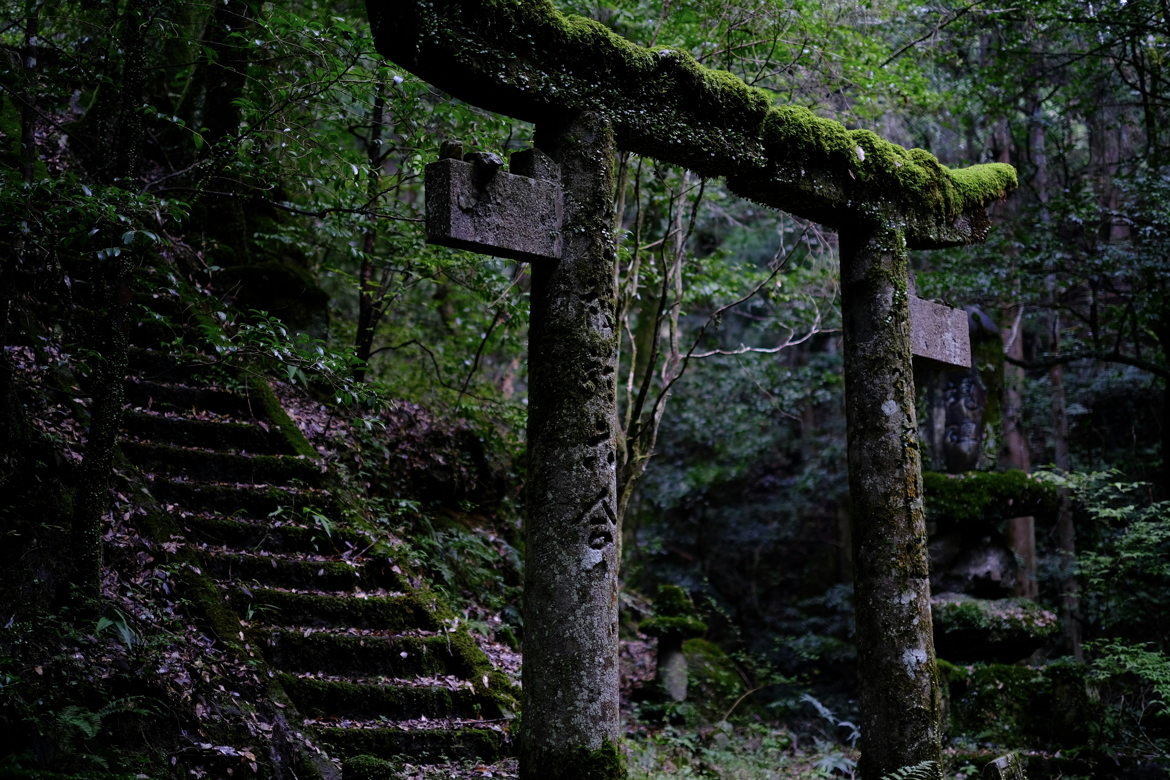 Antica porta torii coperta di muschio verde con gradini di pietra in una foresta