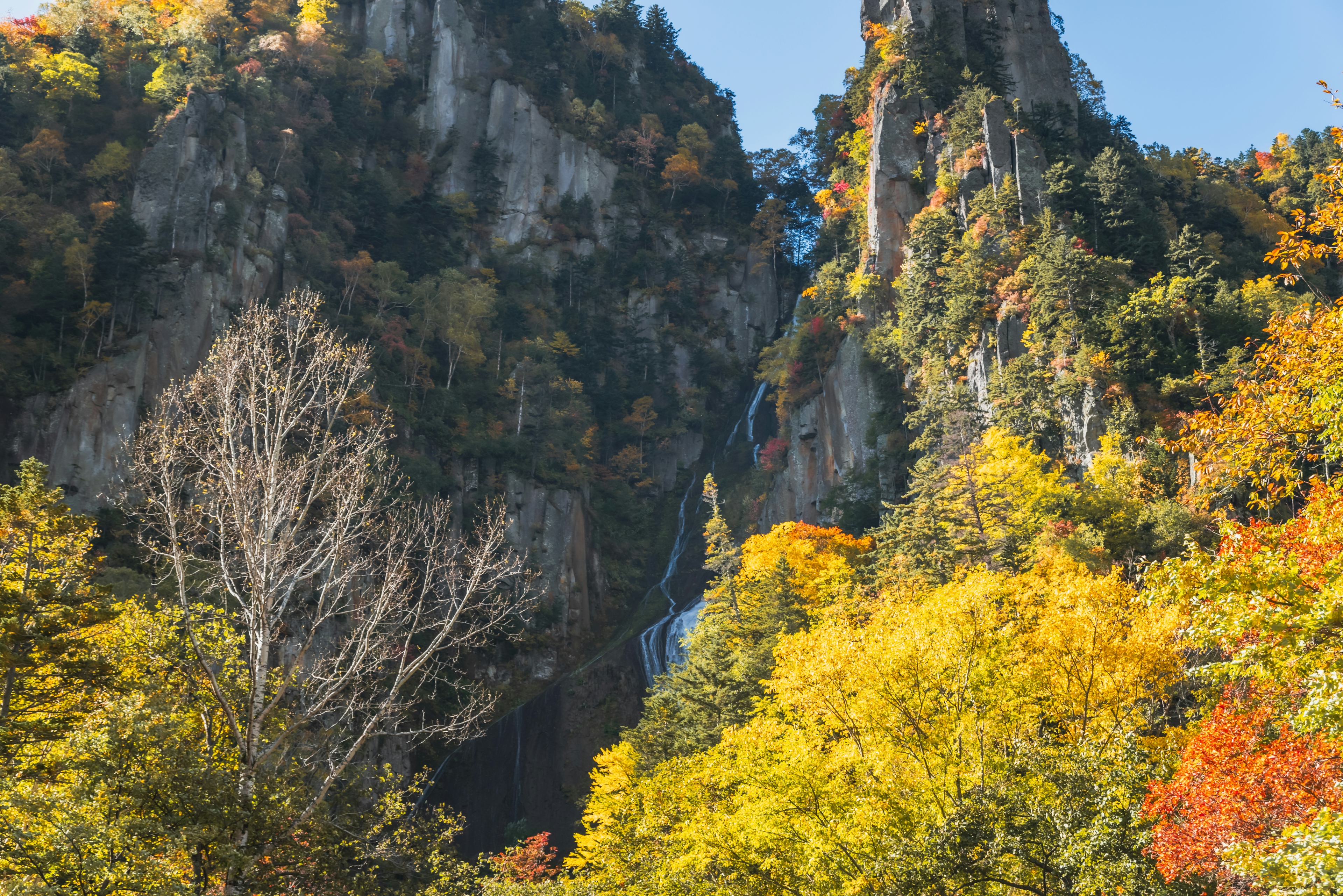 秋の色彩に彩られた山々と滝の風景